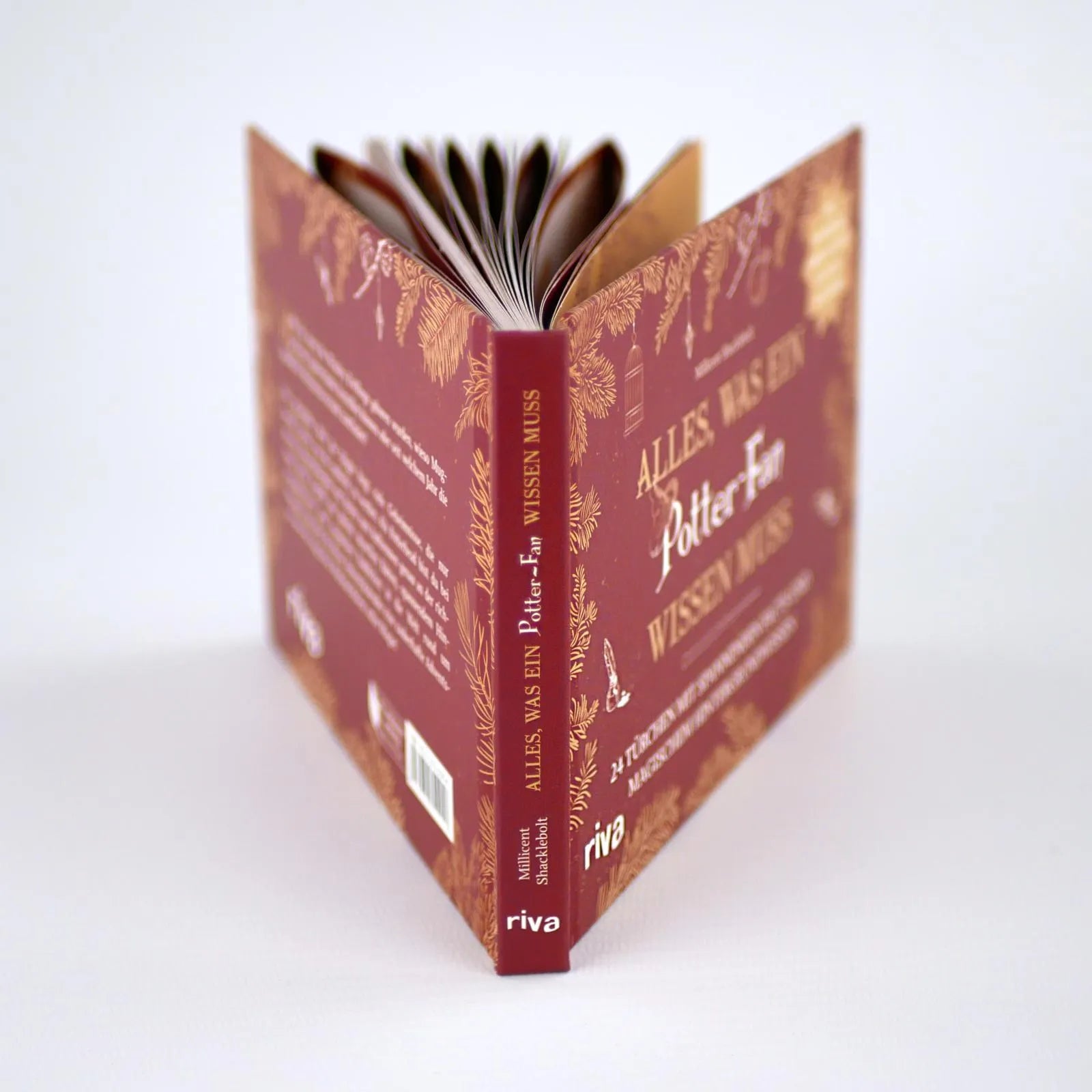 Innenansicht von 'Alles, was ein Potter-Fan wissen muss' - Gebundene Ausgabe