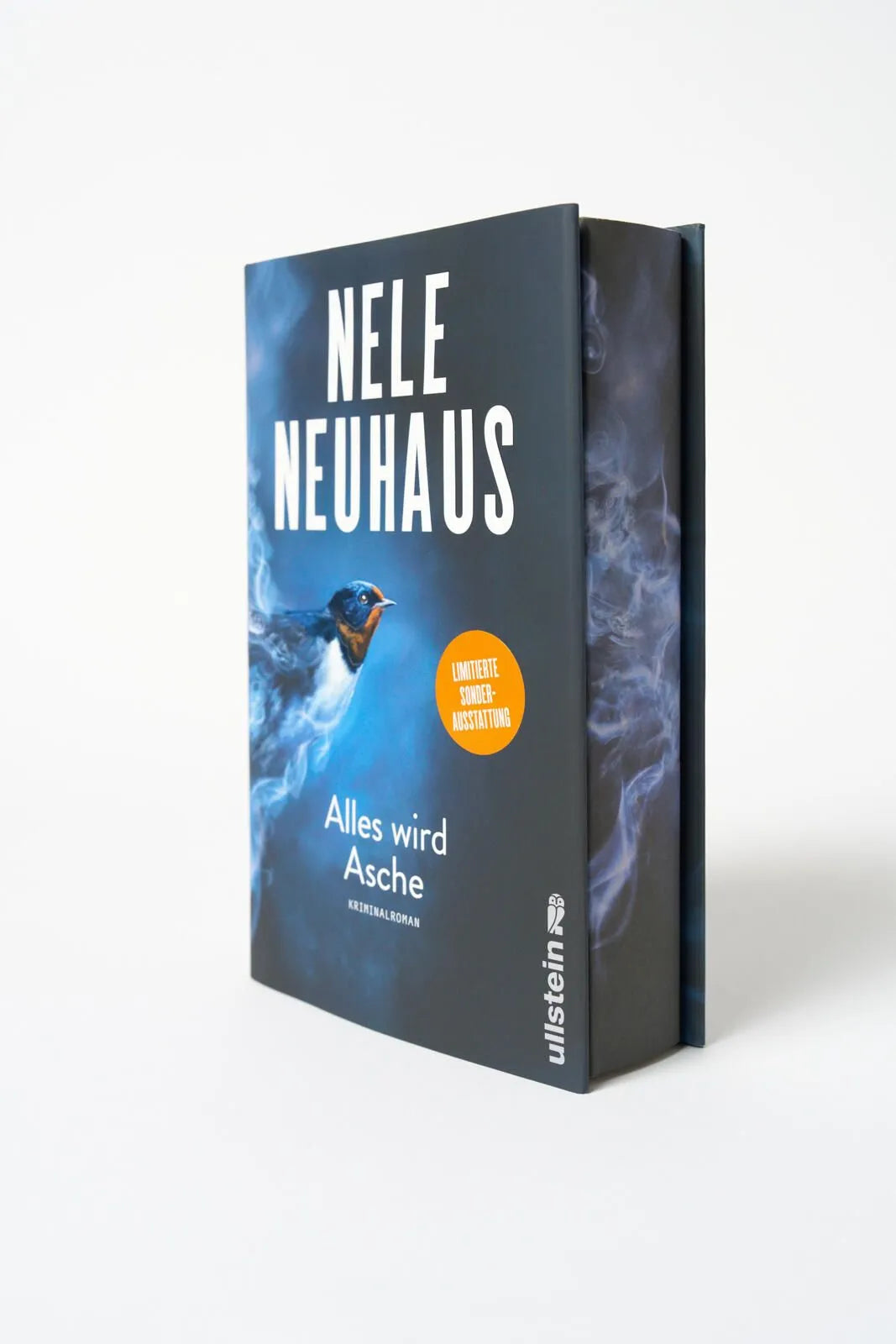 Detailansicht: Alles wird Asche (Hardcover)