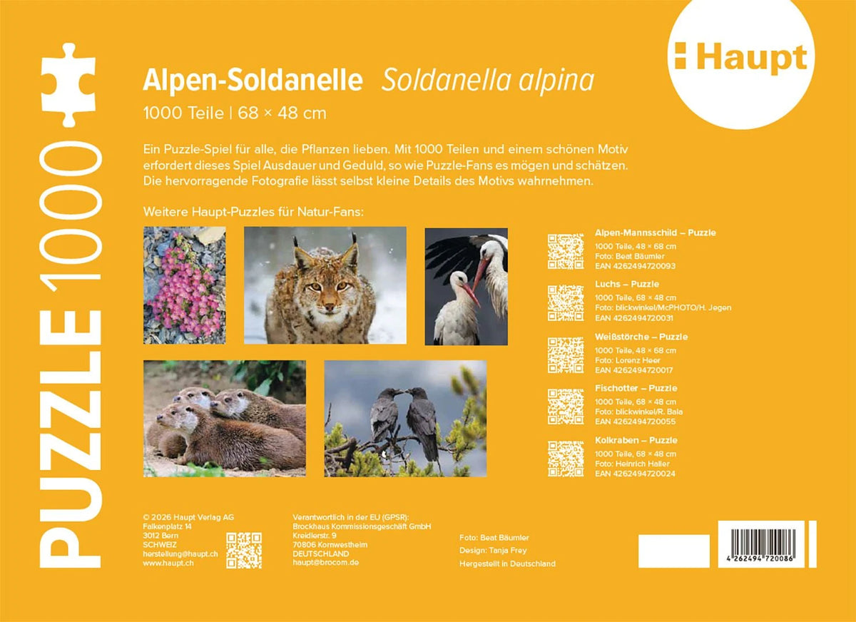 Alpen-Soldanelle – Puzzle – Ansicht