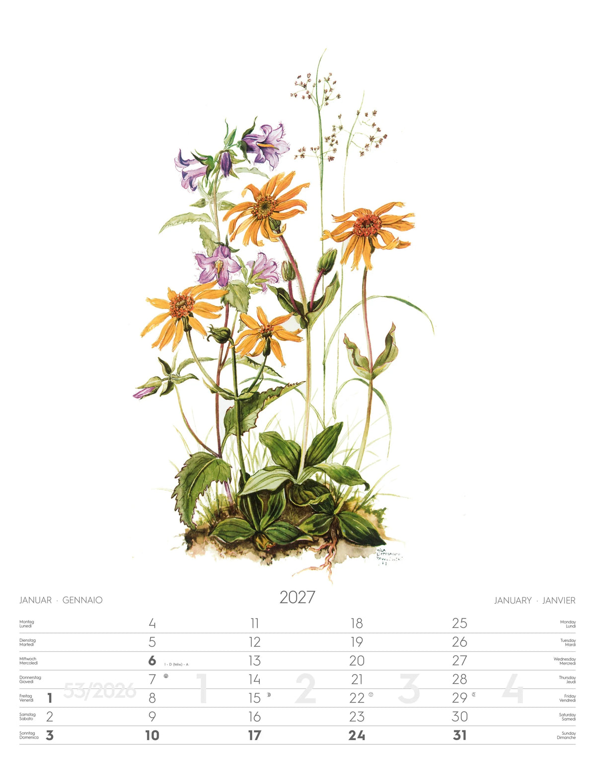Alpenblumen-Aquarelle Kalender 2027 – Ansicht