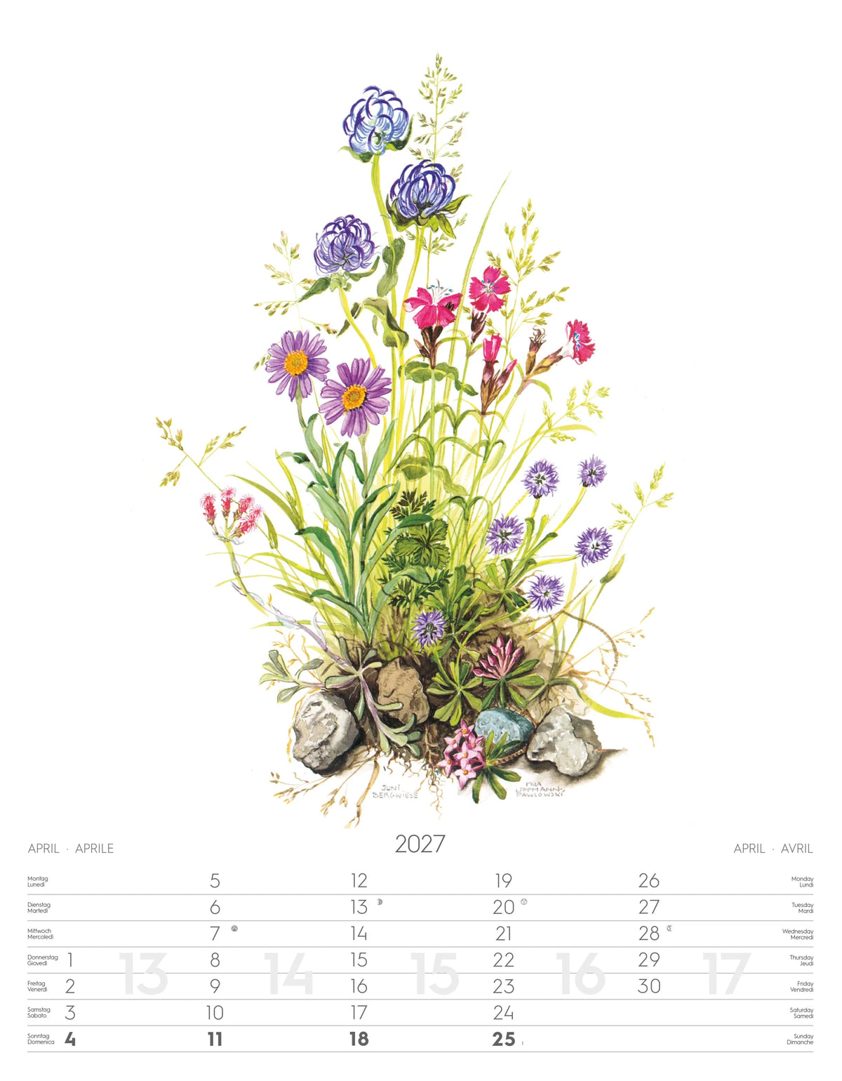 Alpenblumen-Aquarelle Kalender 2027 – Ansicht