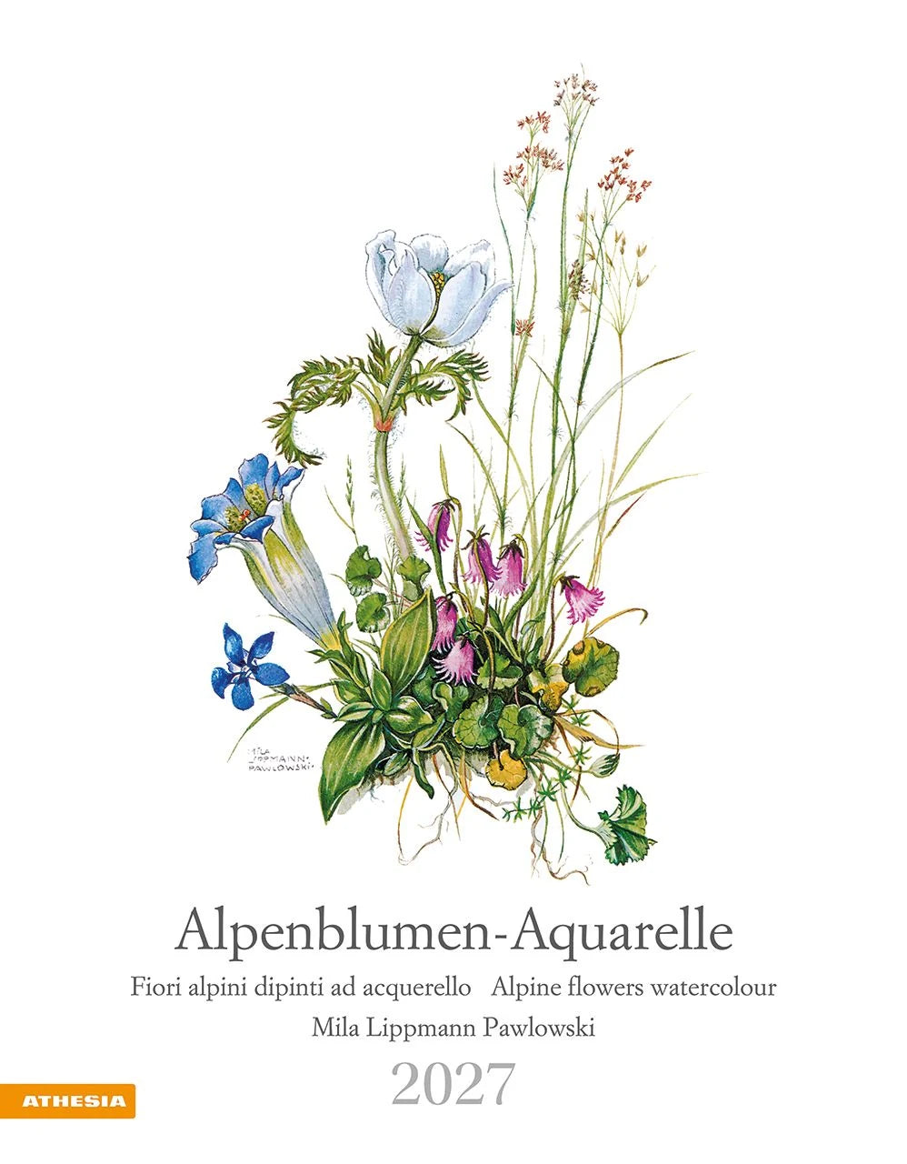 Wandkalender: Alpenblumen-Aquarelle Kalender 2027