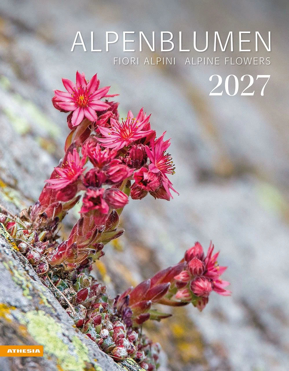 Wandkalender: Alpenblumen Kalender 2027