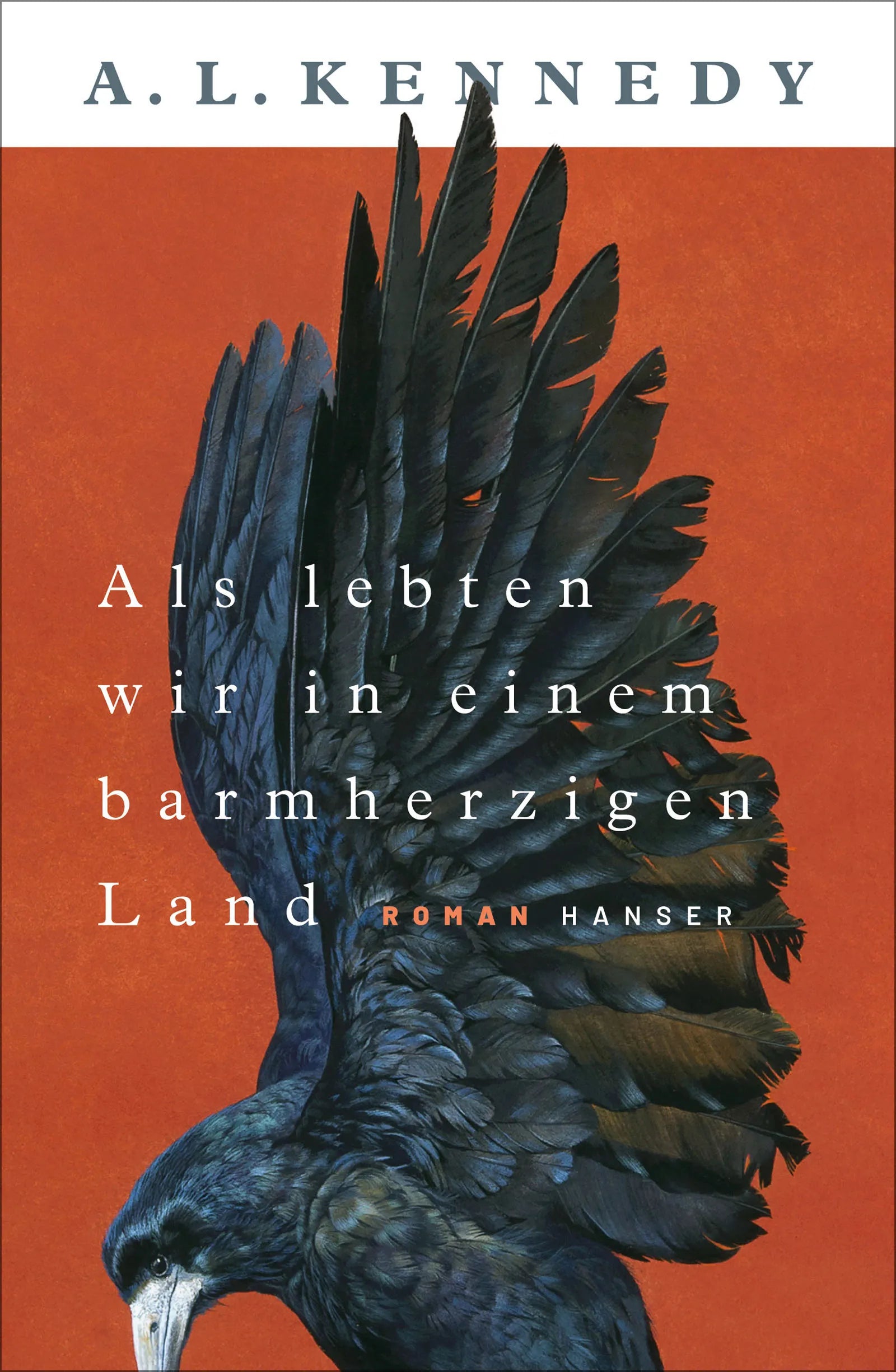 Buchcover von 'Als lebten wir in einem barmherzigen Land' - Gebundene Ausgabe von A. L. Kennedy