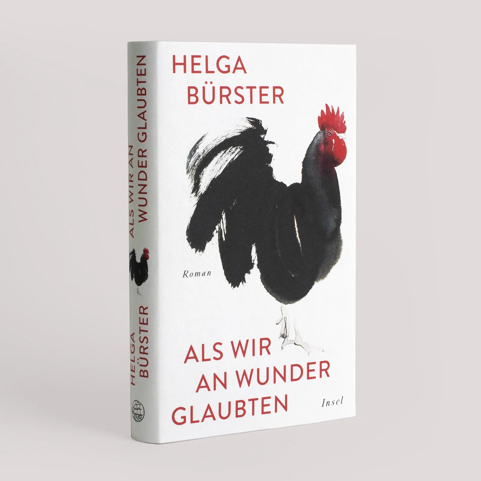 Produktansicht: Als wir an Wunder glaubten (Gebundene Ausgabe)