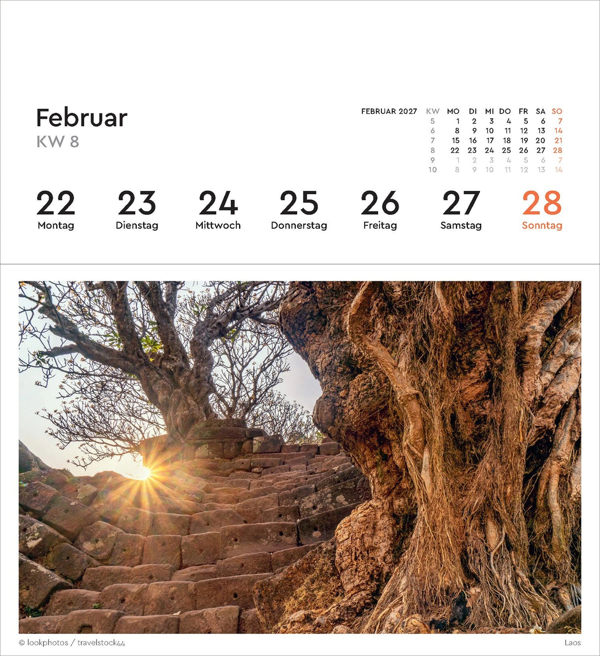 Alte Bäume - KUNTH Postkartenkalender 2027 – Ansicht