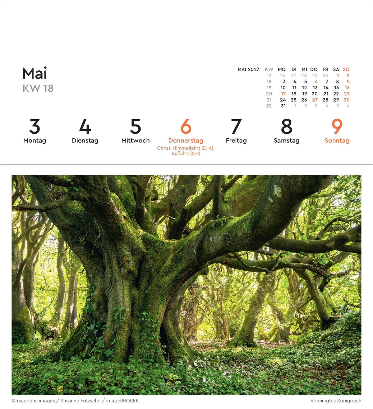 Alte Bäume - KUNTH Postkartenkalender 2027 – Ansicht