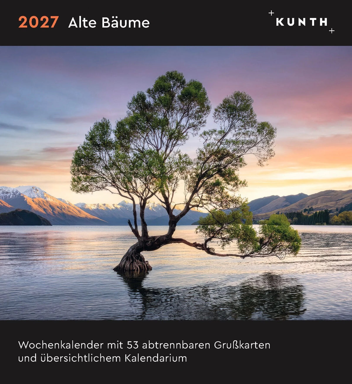 Postkartenkalender: Alte Bäume - KUNTH Postkartenkalender 2027
