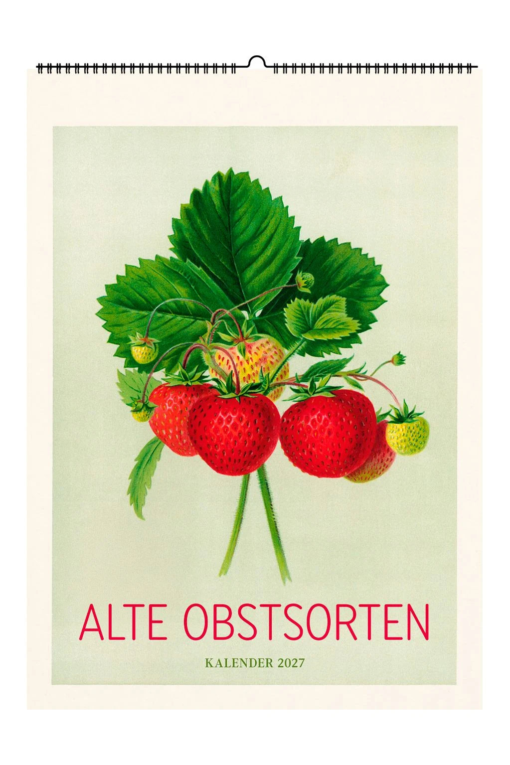 Wandkalender: Alte Obstsorten. Wandkalender 2027