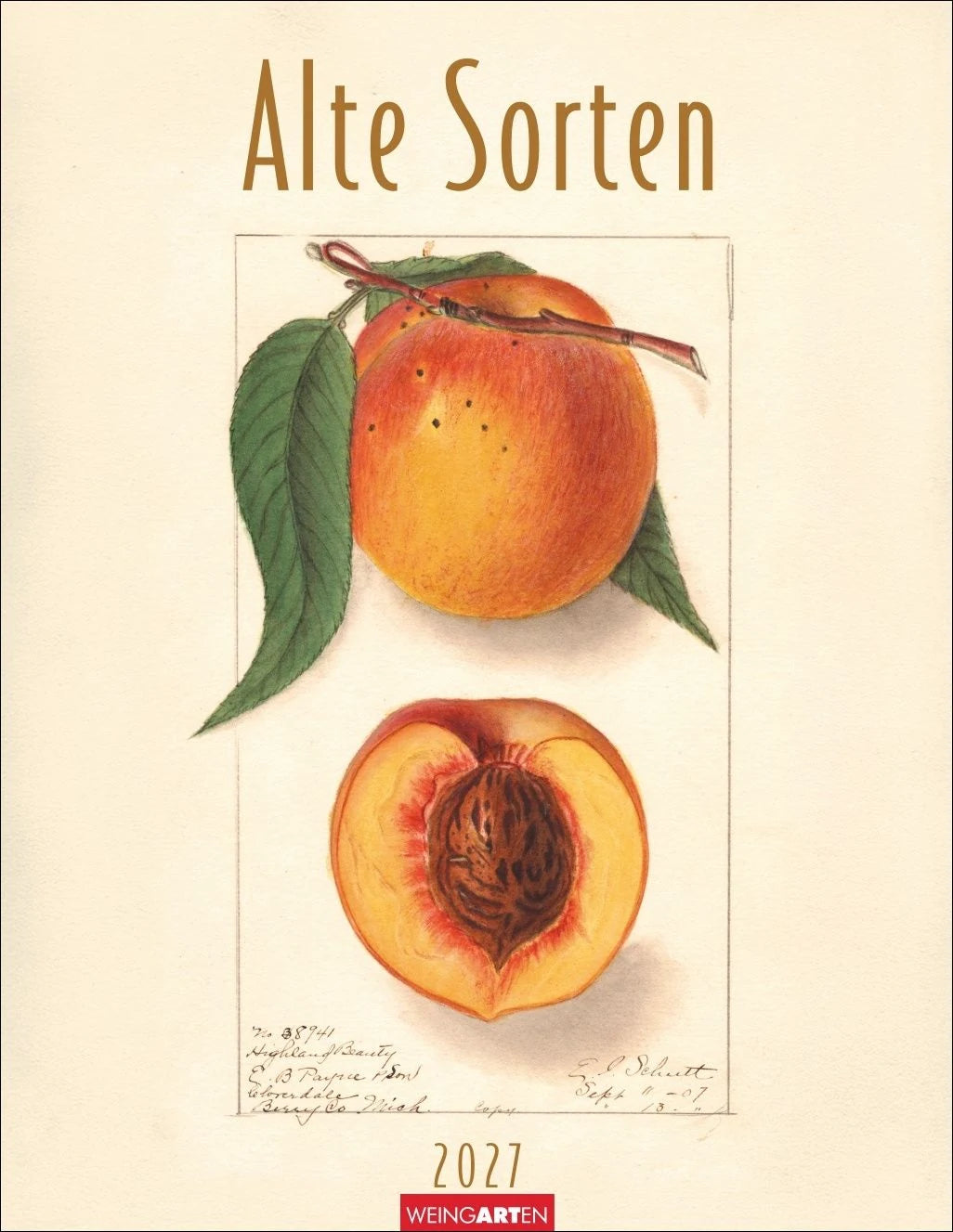 Wandkalender: Alte Sorten Kalender 2027