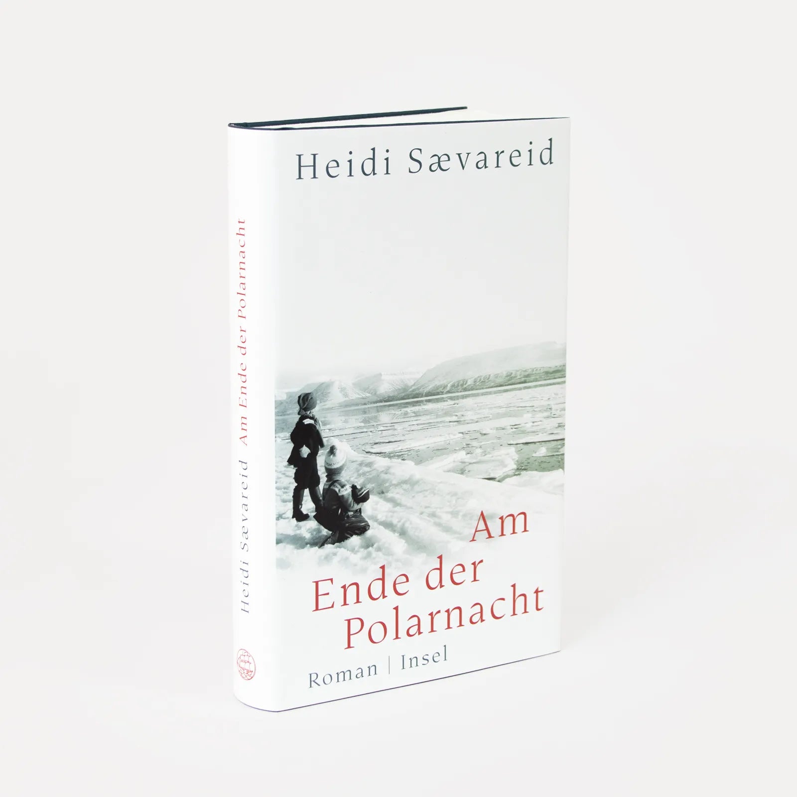Produktansicht: Am Ende der Polarnacht (Gebundene Ausgabe)
