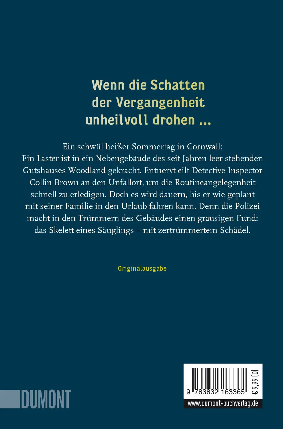 Buchrückseite von 'Am Ende des Schmerzes' mit Klappentext - Taschenbuch