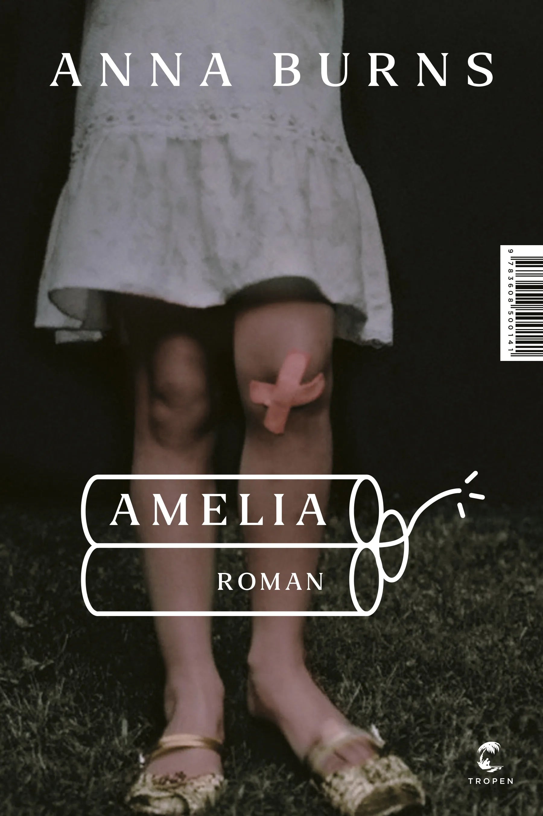 Buchcover von 'Amelia' - Gebundene Ausgabe von Anna Burns