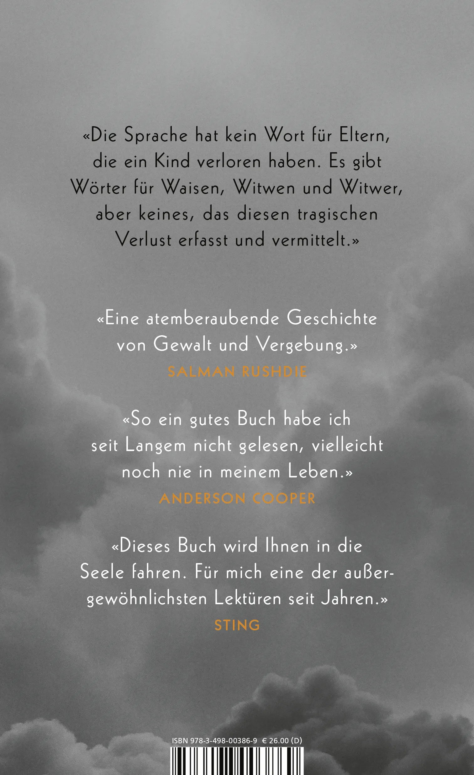 Buchrückseite von 'American Mother' mit Klappentext - Gebundene Ausgabe