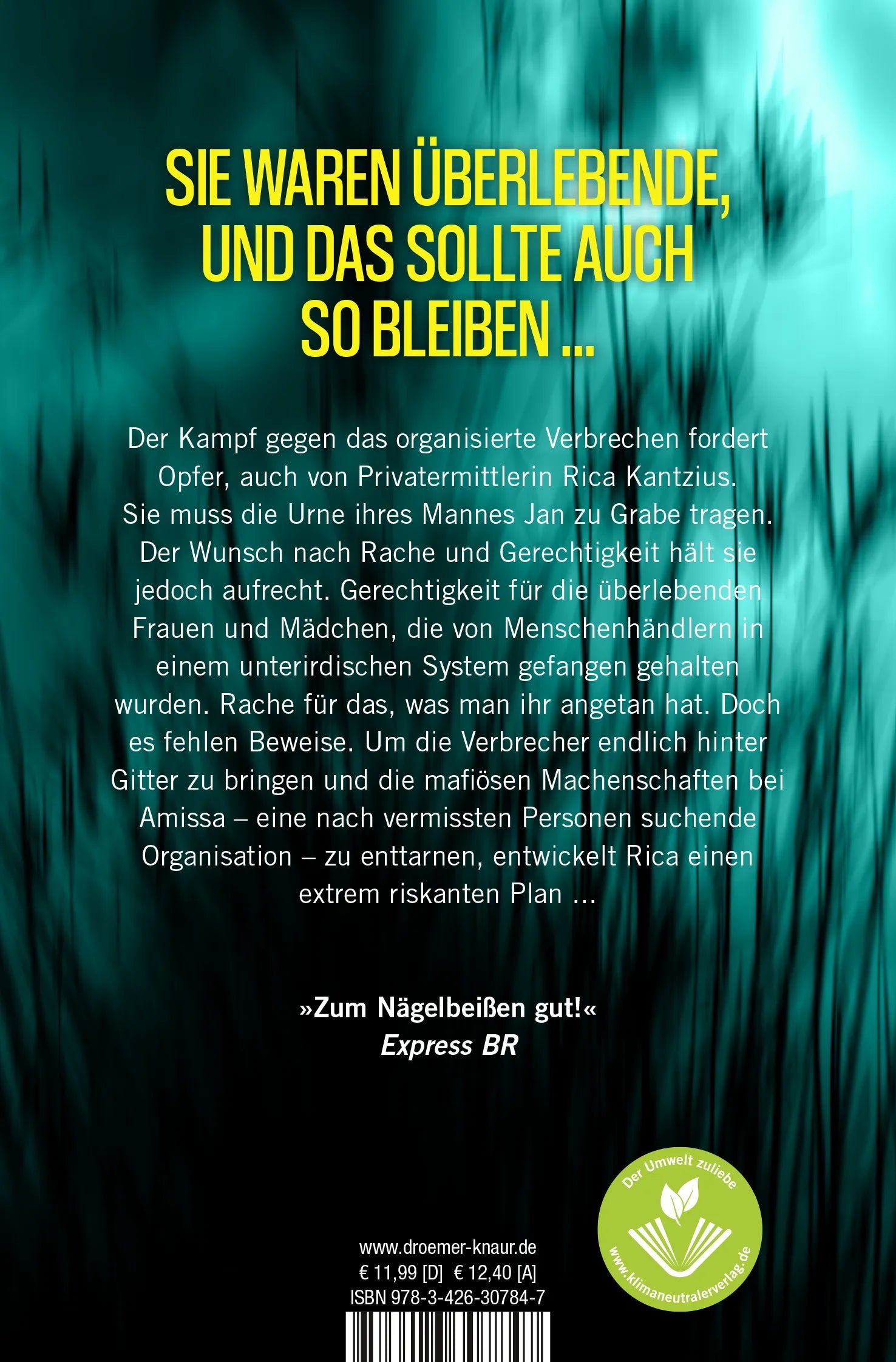 Buchrückseite von 'Amissa. Die Überlebenden' mit Klappentext - Taschenbuch