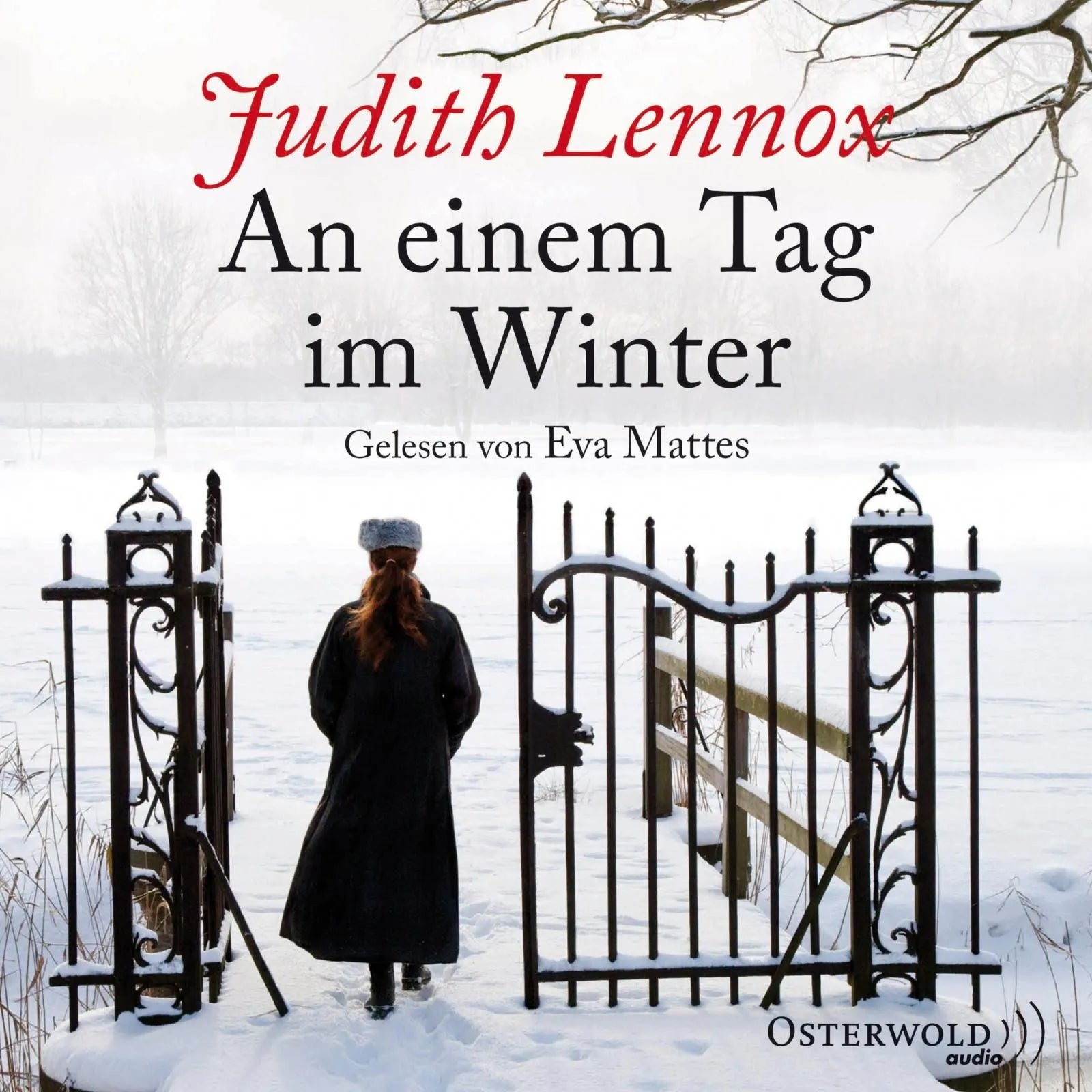 Buchcover von 'An einem Tag im Winter' - Hörbuch (CD) von Judith Lennox