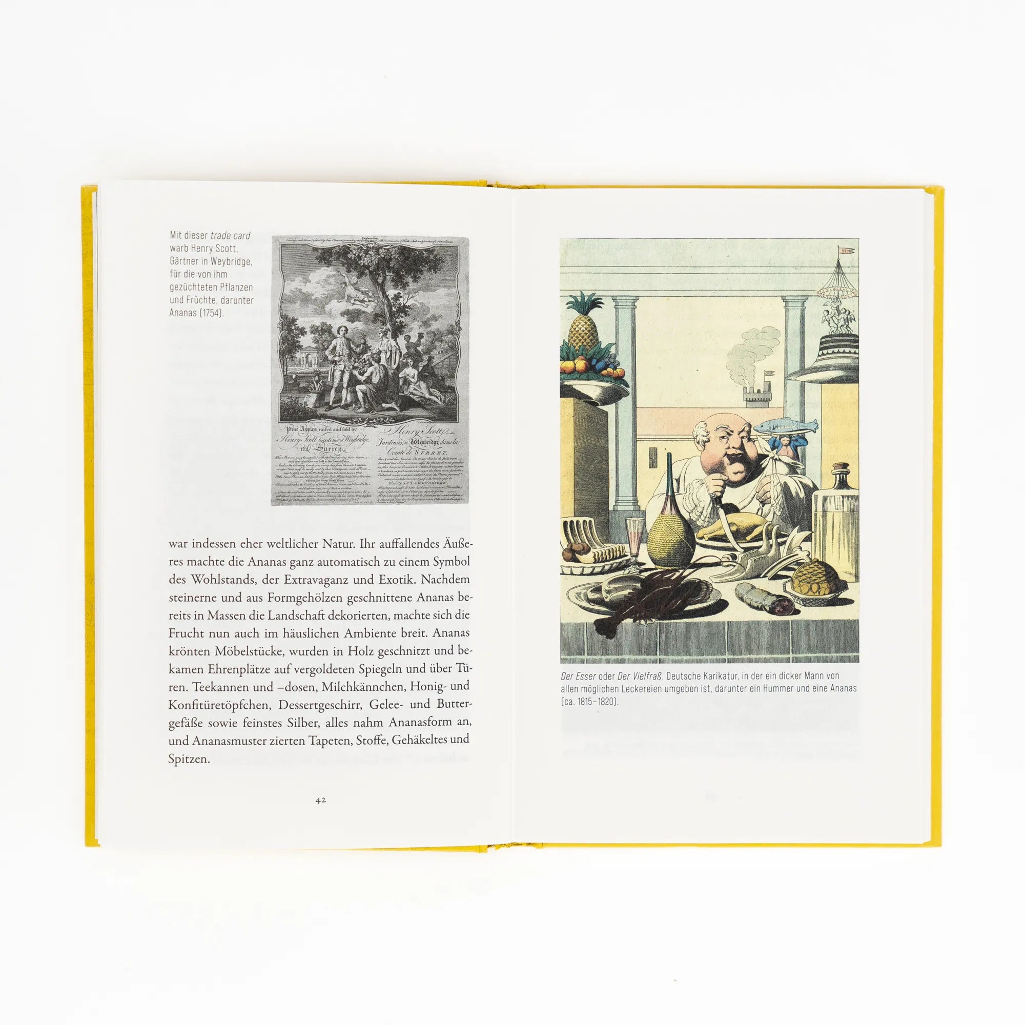 Detailansicht: Ananas. Die Geschichte eines Aufstiegs (Hardcover)