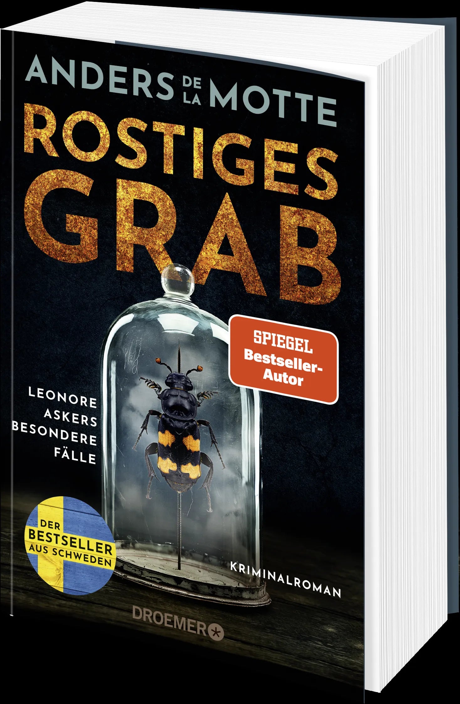 Produktansicht: Rostiges Grab (Paperback)