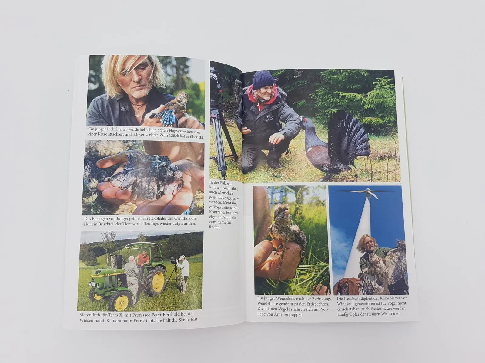 Produktansicht: Kielings kleine Waldschule (Taschenbuch)