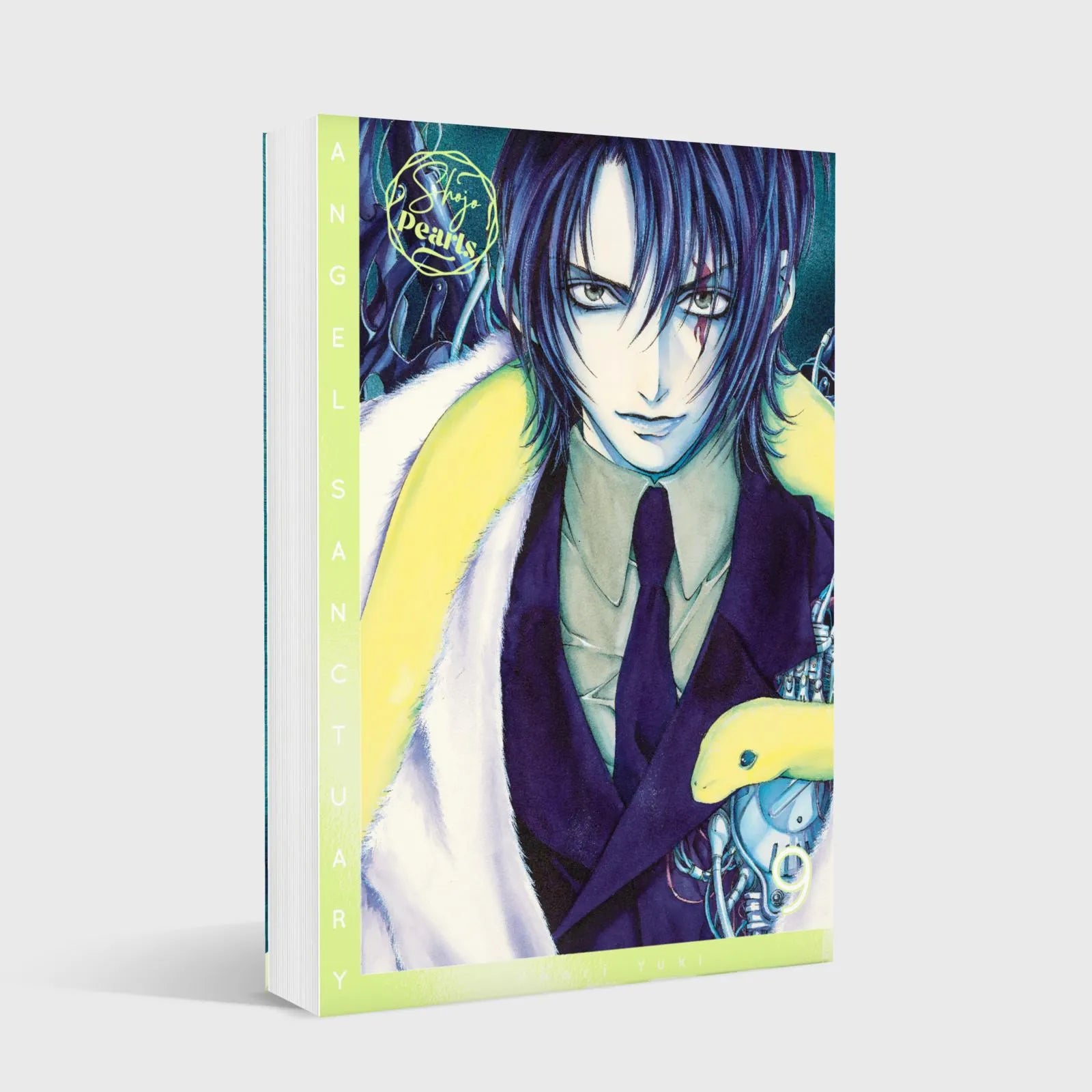 Produktansicht: Angel Sanctuary Pearls 9 (Taschenbuch)