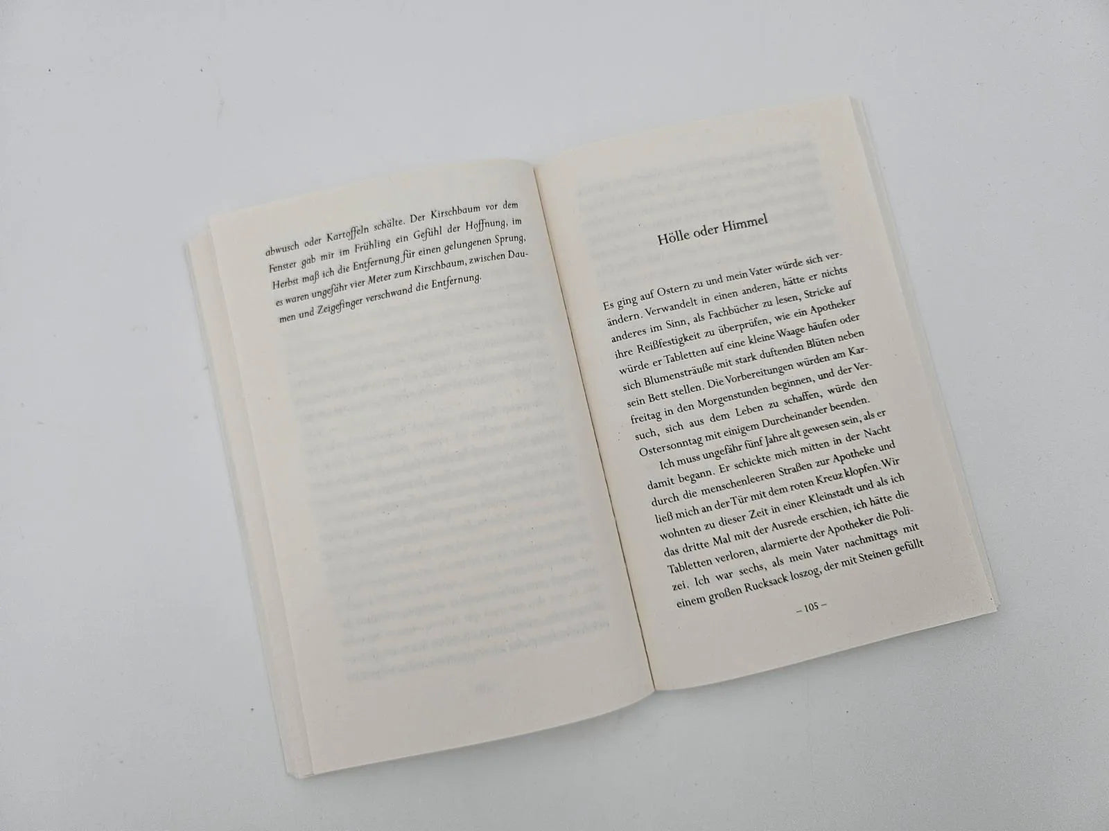 Produktansicht: Risse (Taschenbuch)