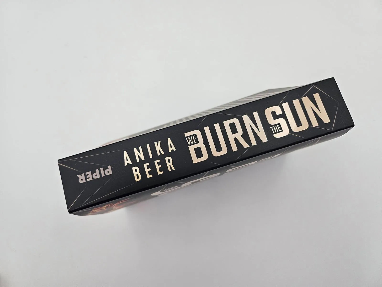 Produktansicht: We Burn the Sun (Paperback)