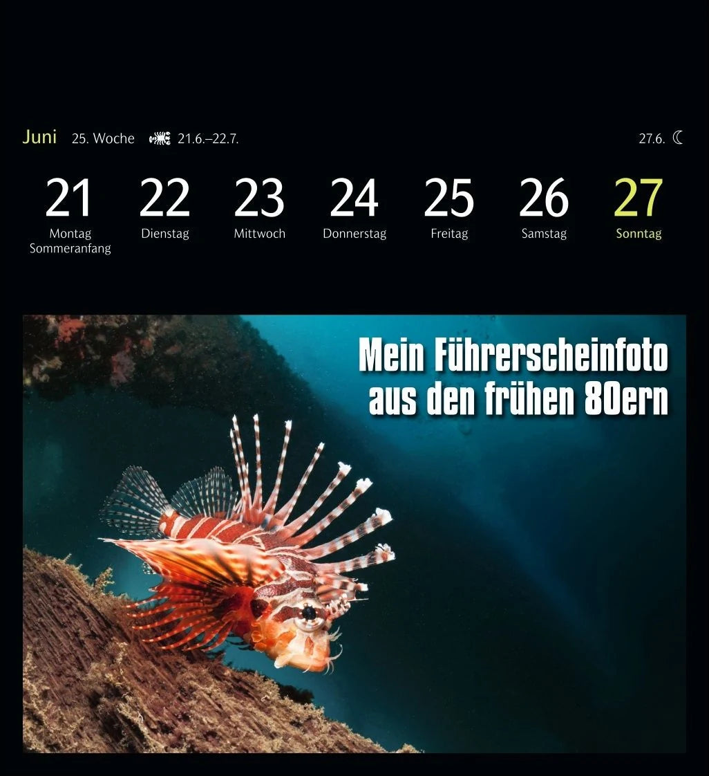Animal Memes Postkartenkalender 2027 - 53 tierisch witzige Postkarten – Ansicht