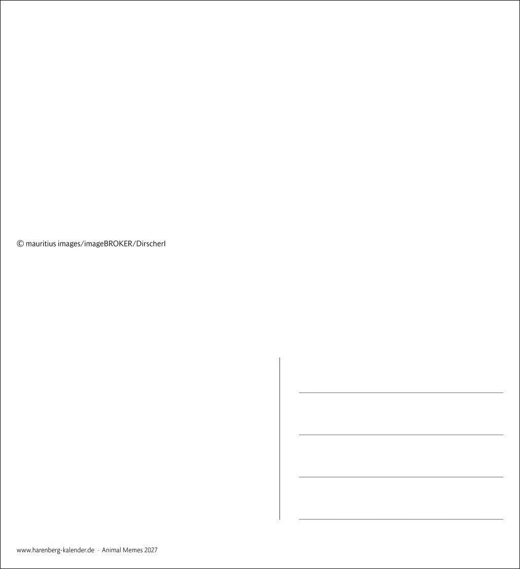 Animal Memes Postkartenkalender 2027 - 53 tierisch witzige Postkarten – Ansicht
