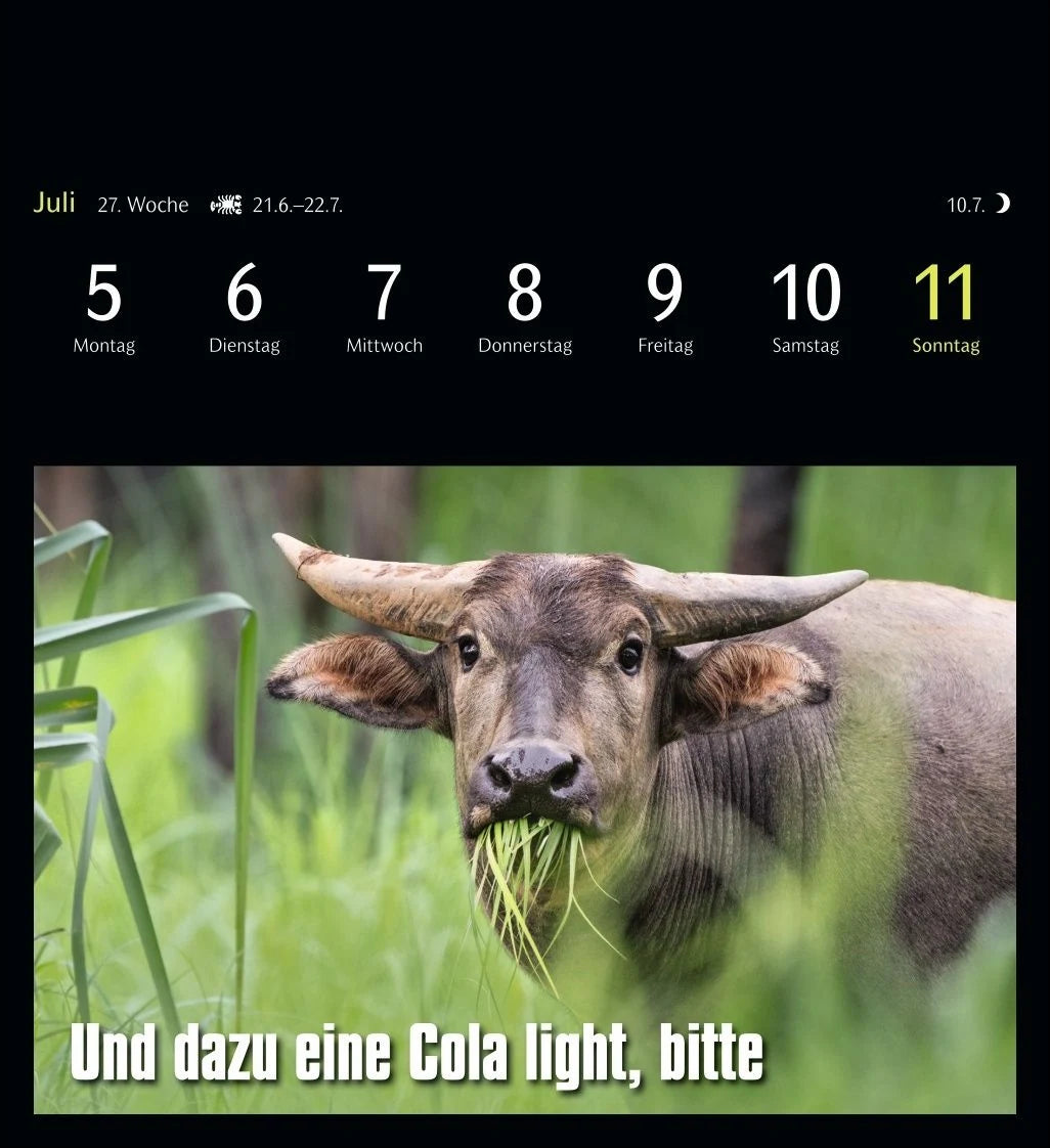 Animal Memes Postkartenkalender 2027 - 53 tierisch witzige Postkarten – Ansicht