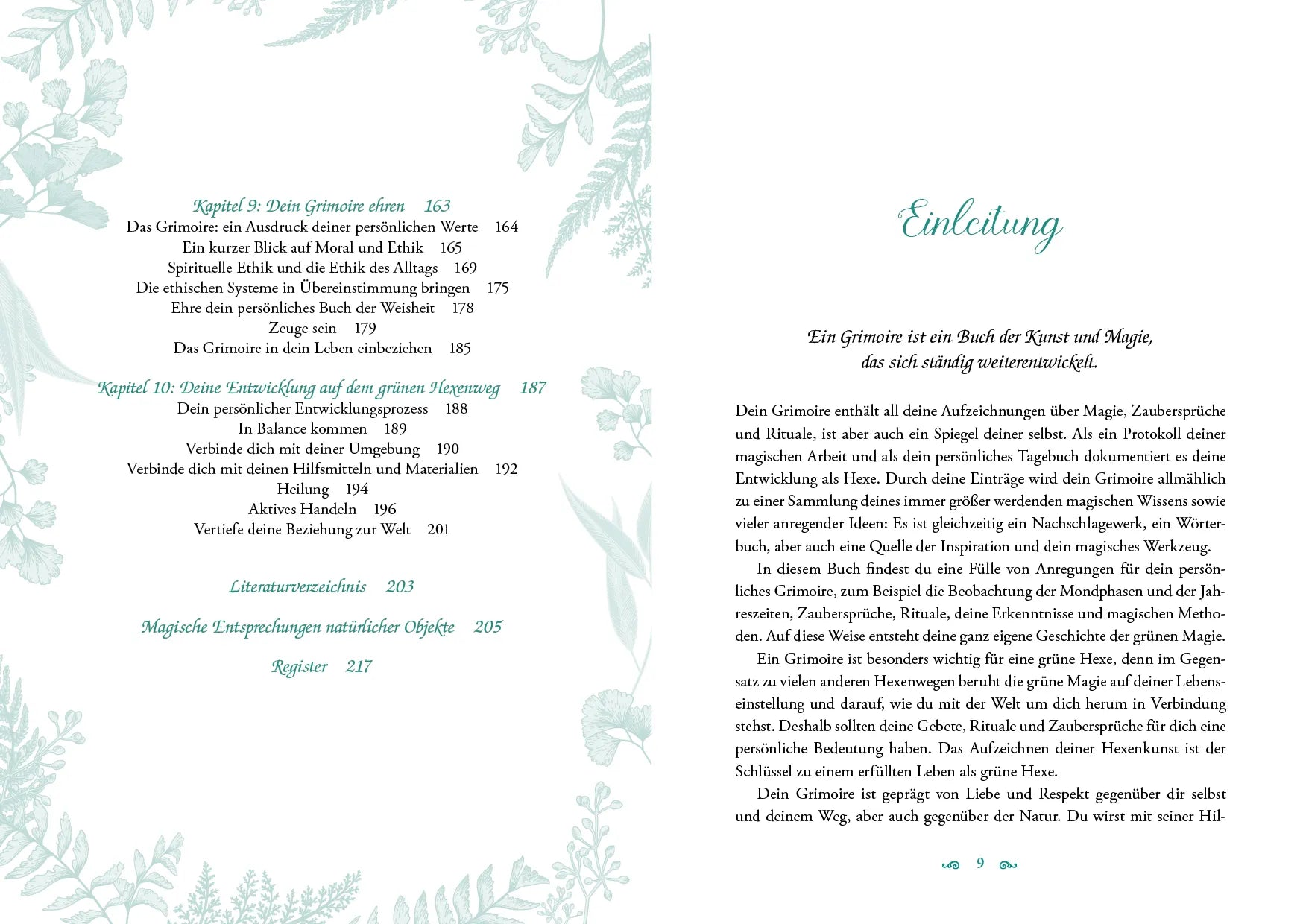 Innenansicht von 'Anleitung für dein Buch der grünen Magie' - Gebundene Ausgabe