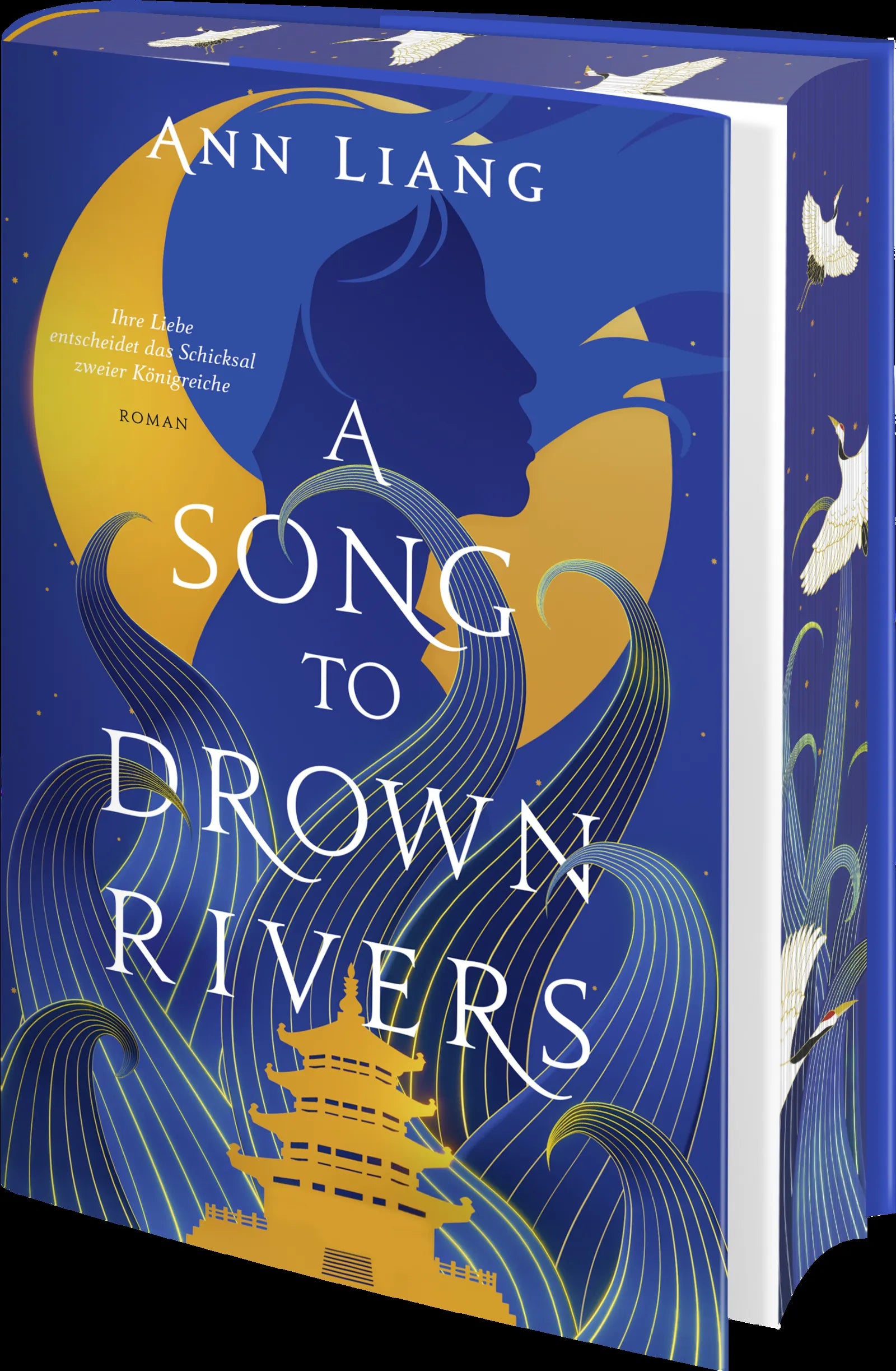 Produktansicht: A Song to Drown Rivers (Gebundene Ausgabe)