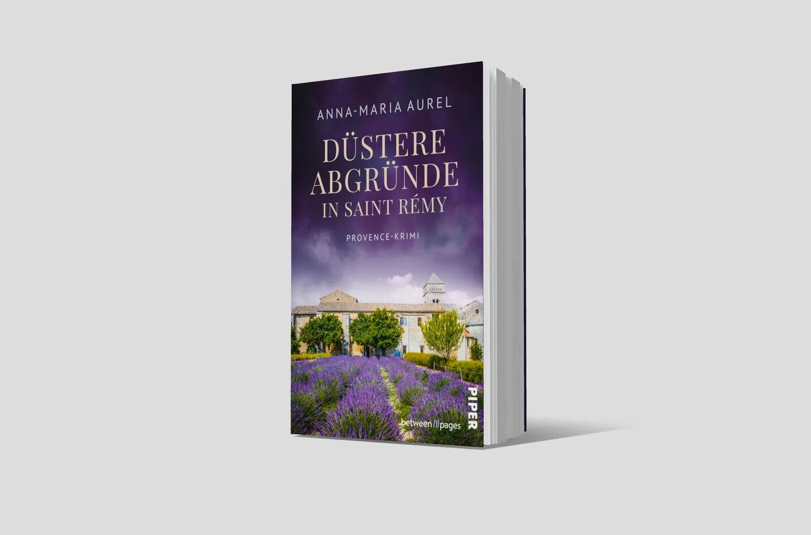 Produktansicht: Düstere Abgründe in Saint Rémy (Taschenbuch)