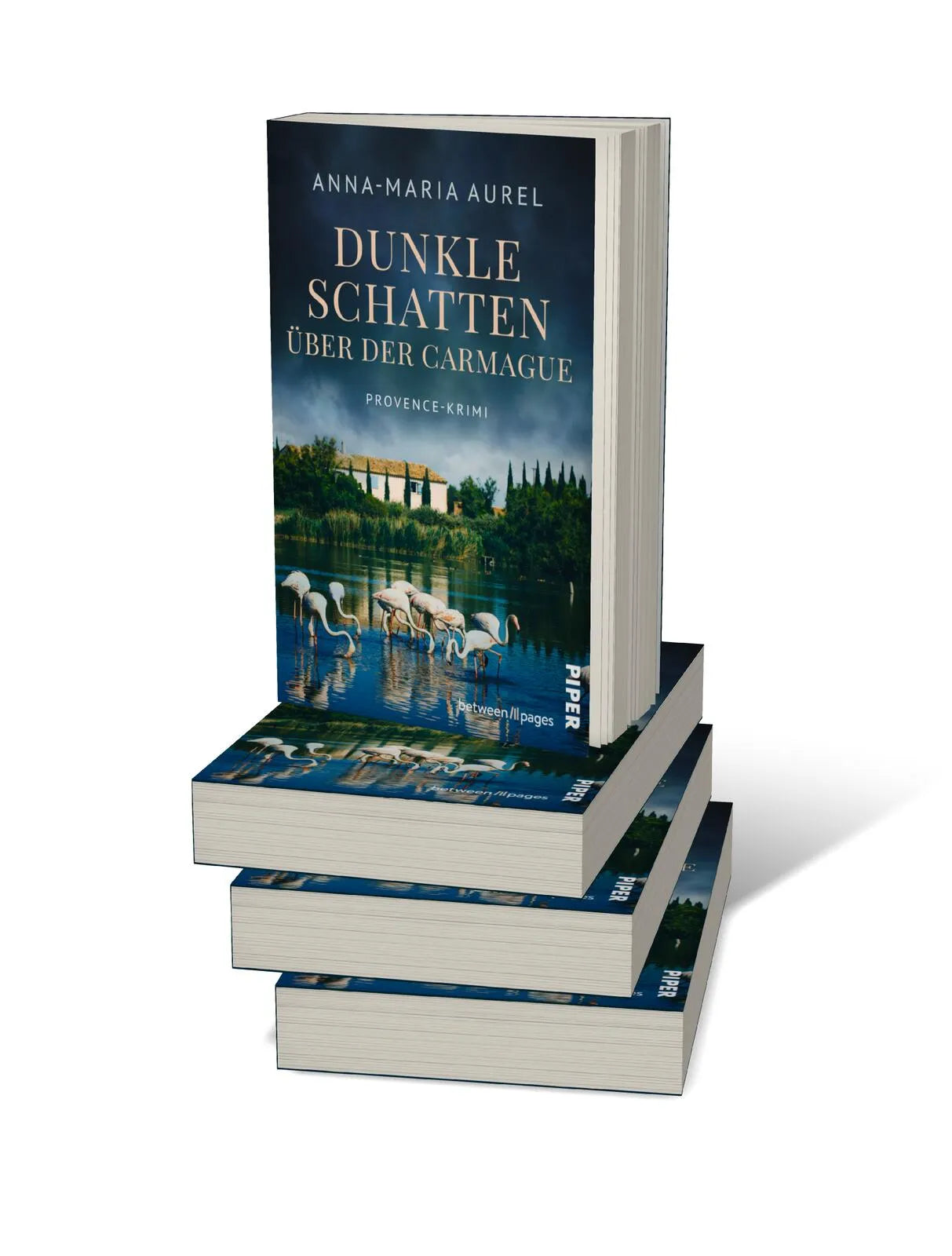 Produktansicht: Dunkle Schatten über der Camargue (Taschenbuch)
