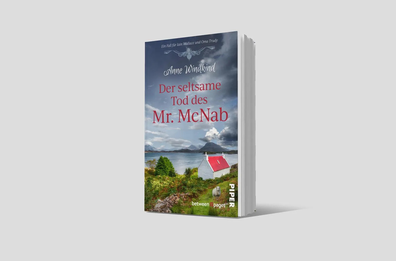 Produktansicht: Der seltsame Tod des Mr McNab (Taschenbuch)