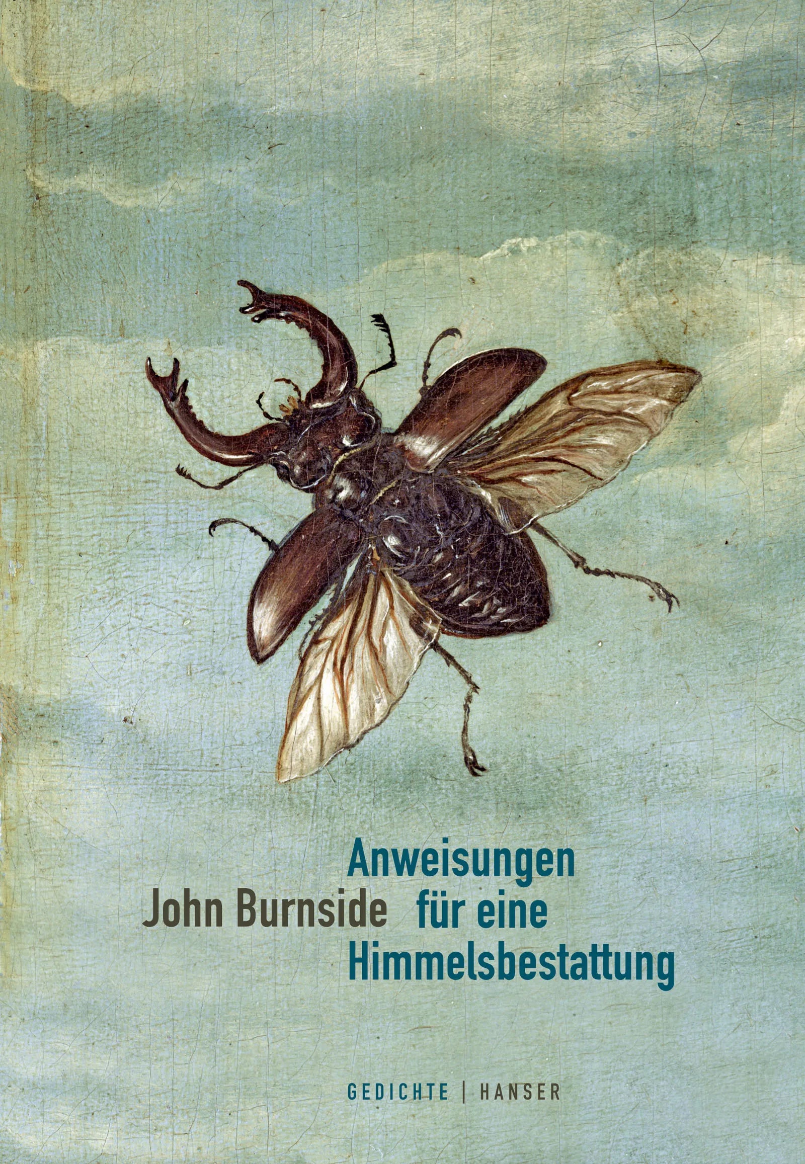 Buchcover von 'Anweisungen für eine Himmelsbestattung' - Gebundene Ausgabe von John Burnside