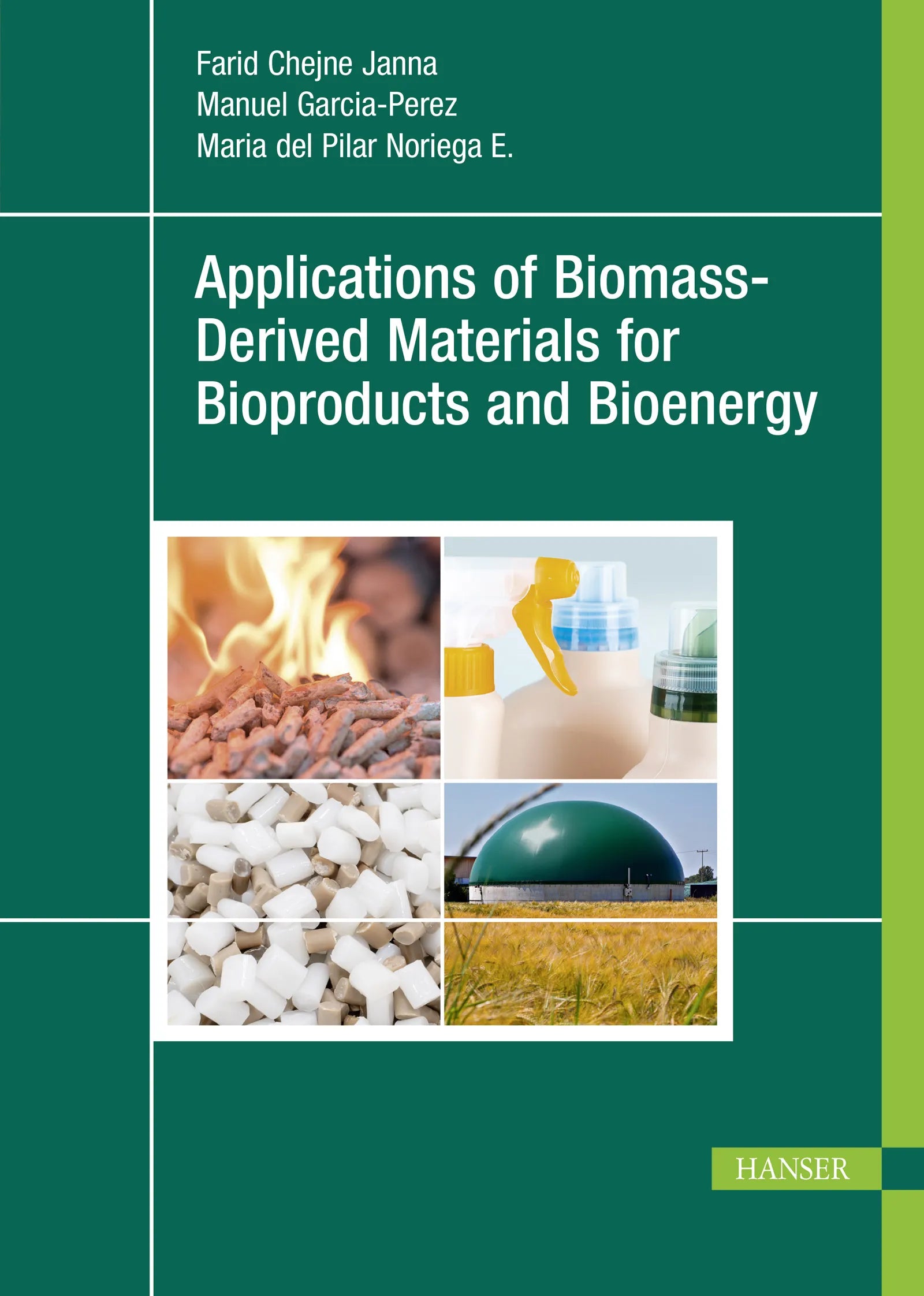 Cover: Applications of Biomass-Derived Materials for Bioproducts and Bioenergy (E-Book) von Farid Chejne Janna