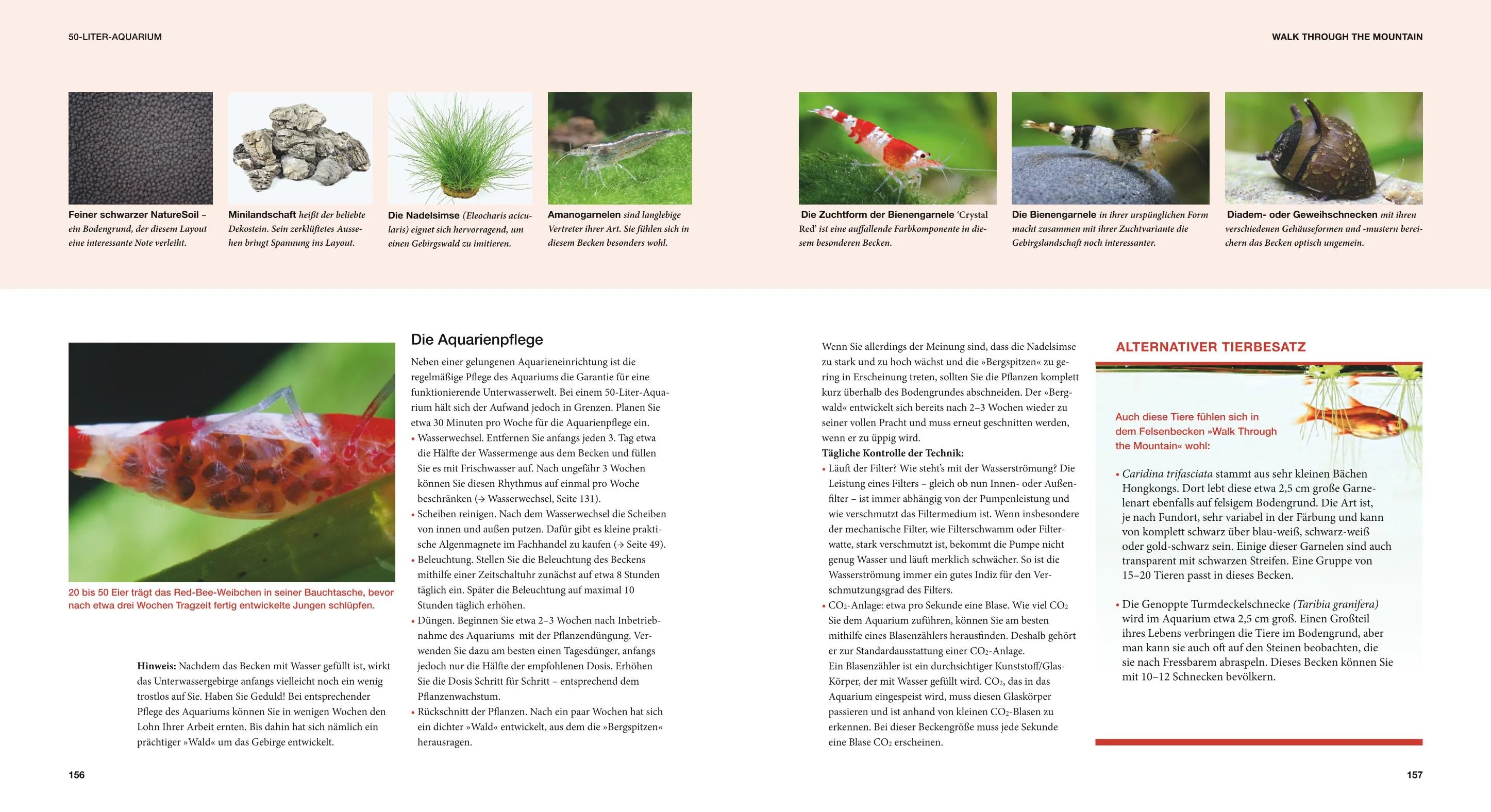 Produktansicht: Aquascaping (Gebundene Ausgabe)