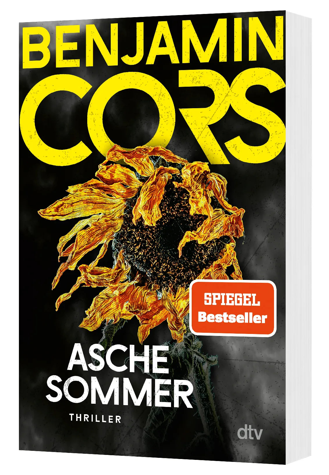 Benjamin Cors - Aschesommer