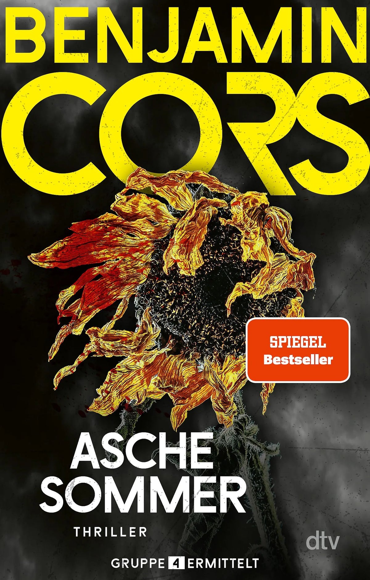 Cover: Aschesommer (Taschenbuch) von Benjamin Cors