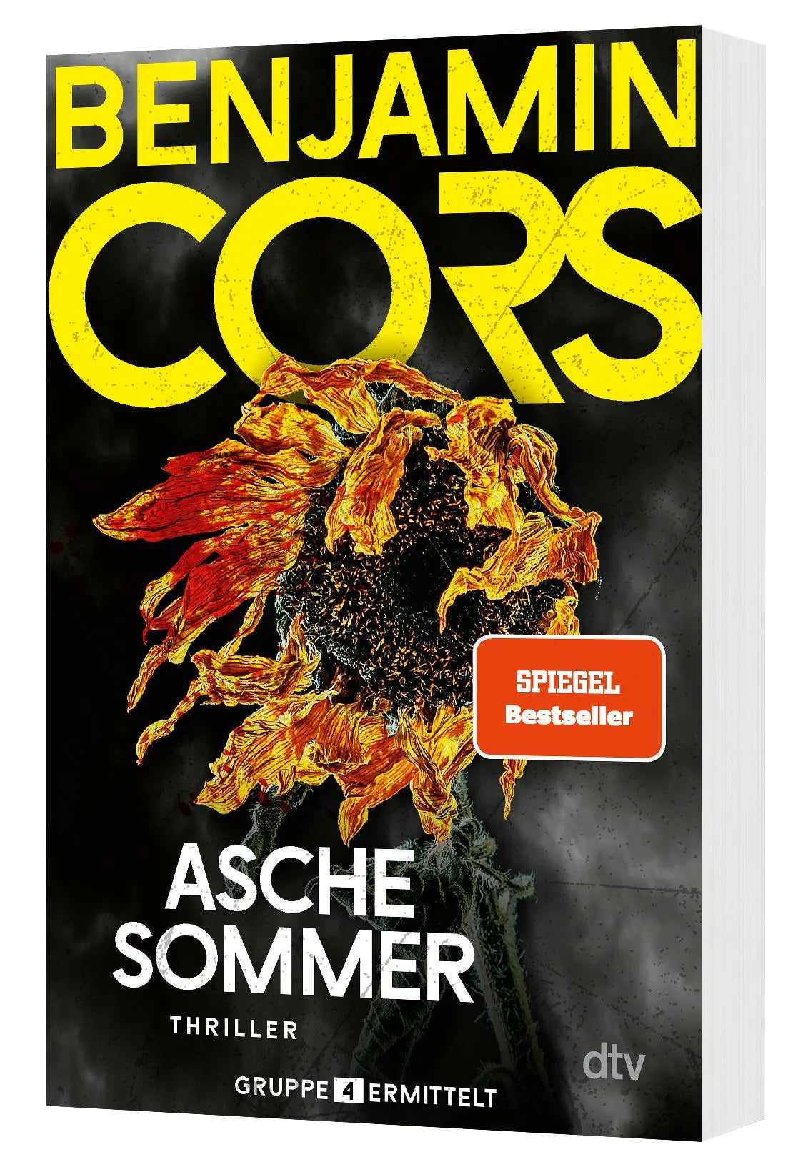 Detailansicht: Aschesommer (Taschenbuch)
