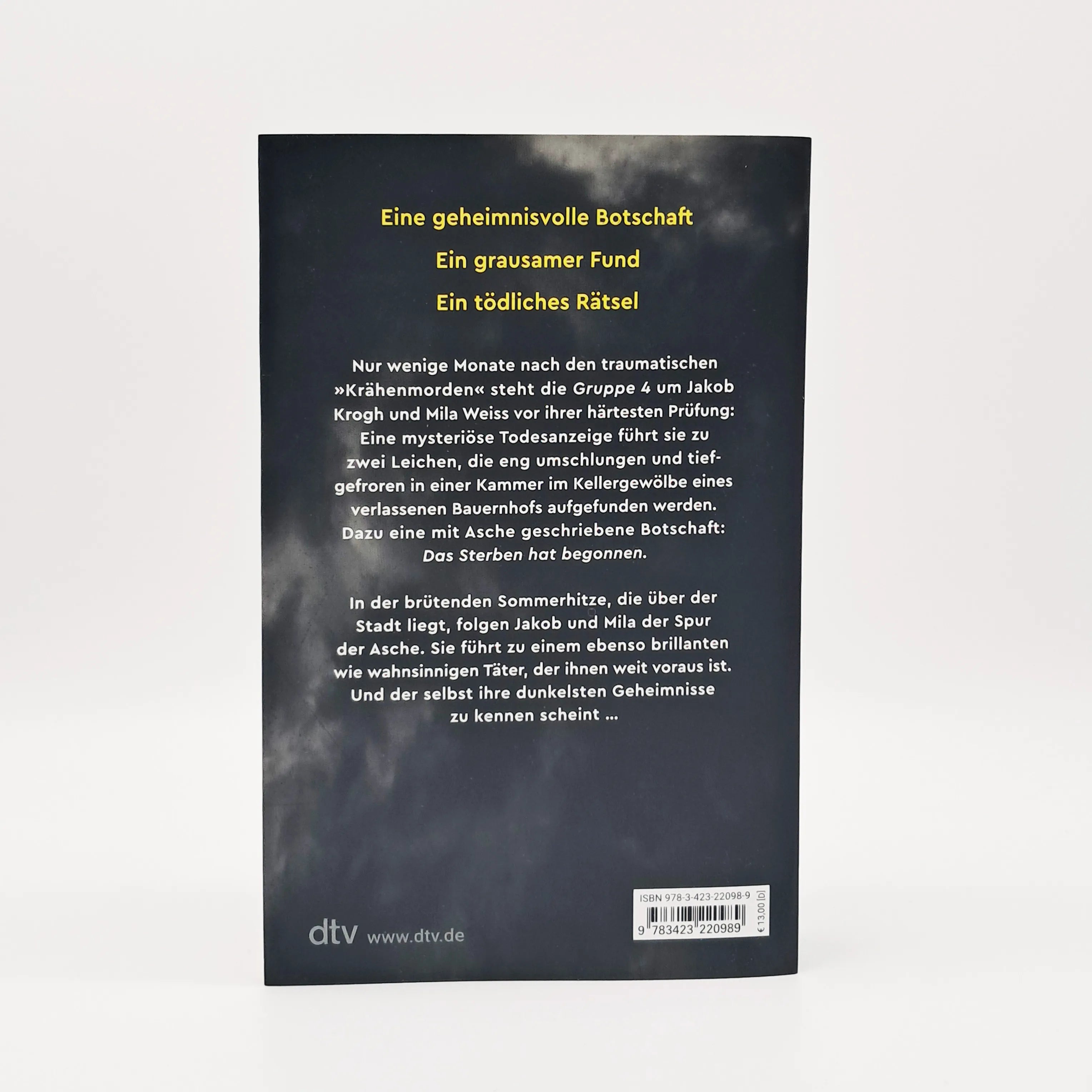 Produktansicht: Aschesommer (Taschenbuch)