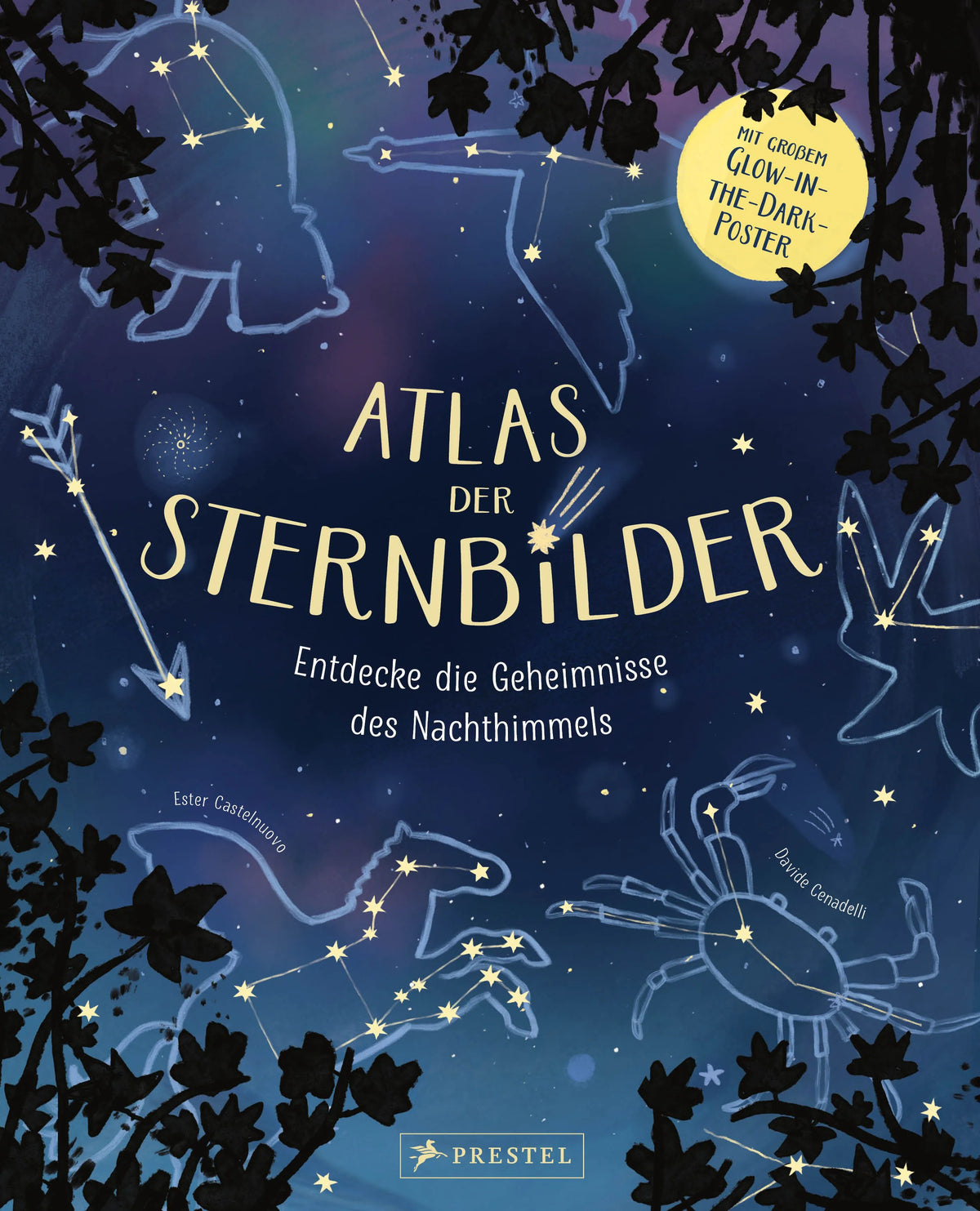 Cover: Atlas der Sternbilder (Hardcover) von Davide Cenadelli