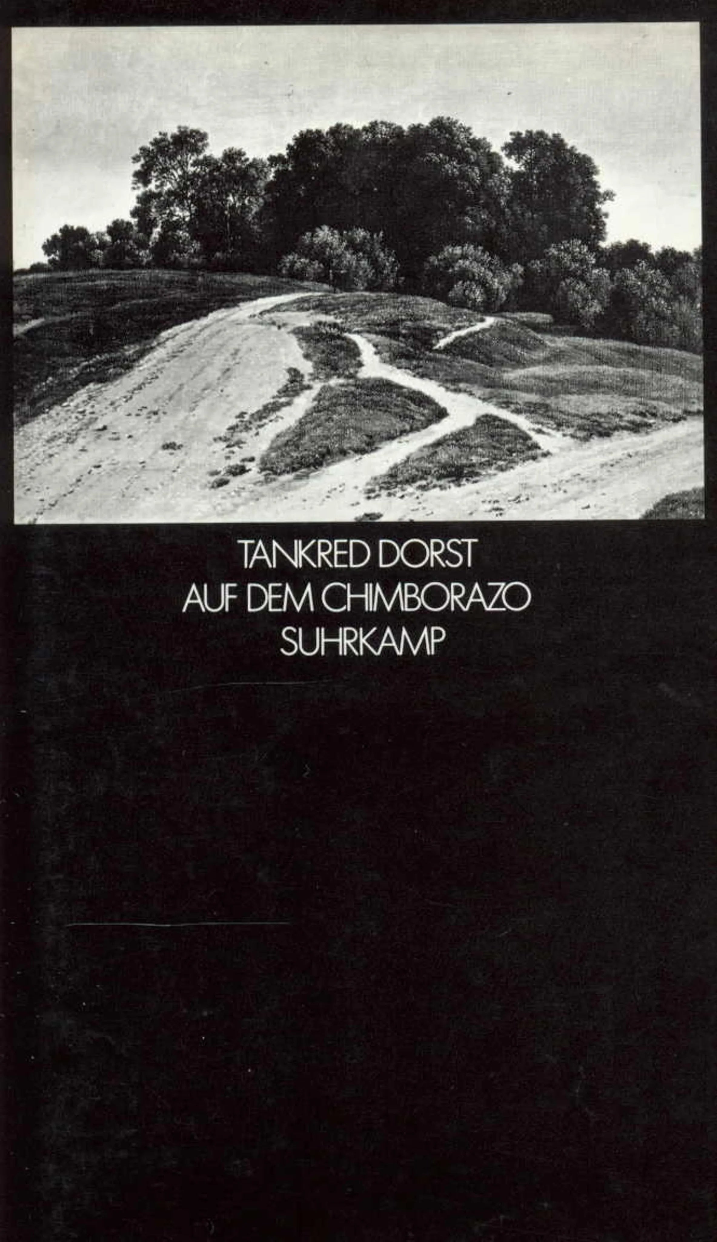 Buchcover von 'Auf dem Chimborazo' - Taschenbuch von Tankred Dorst