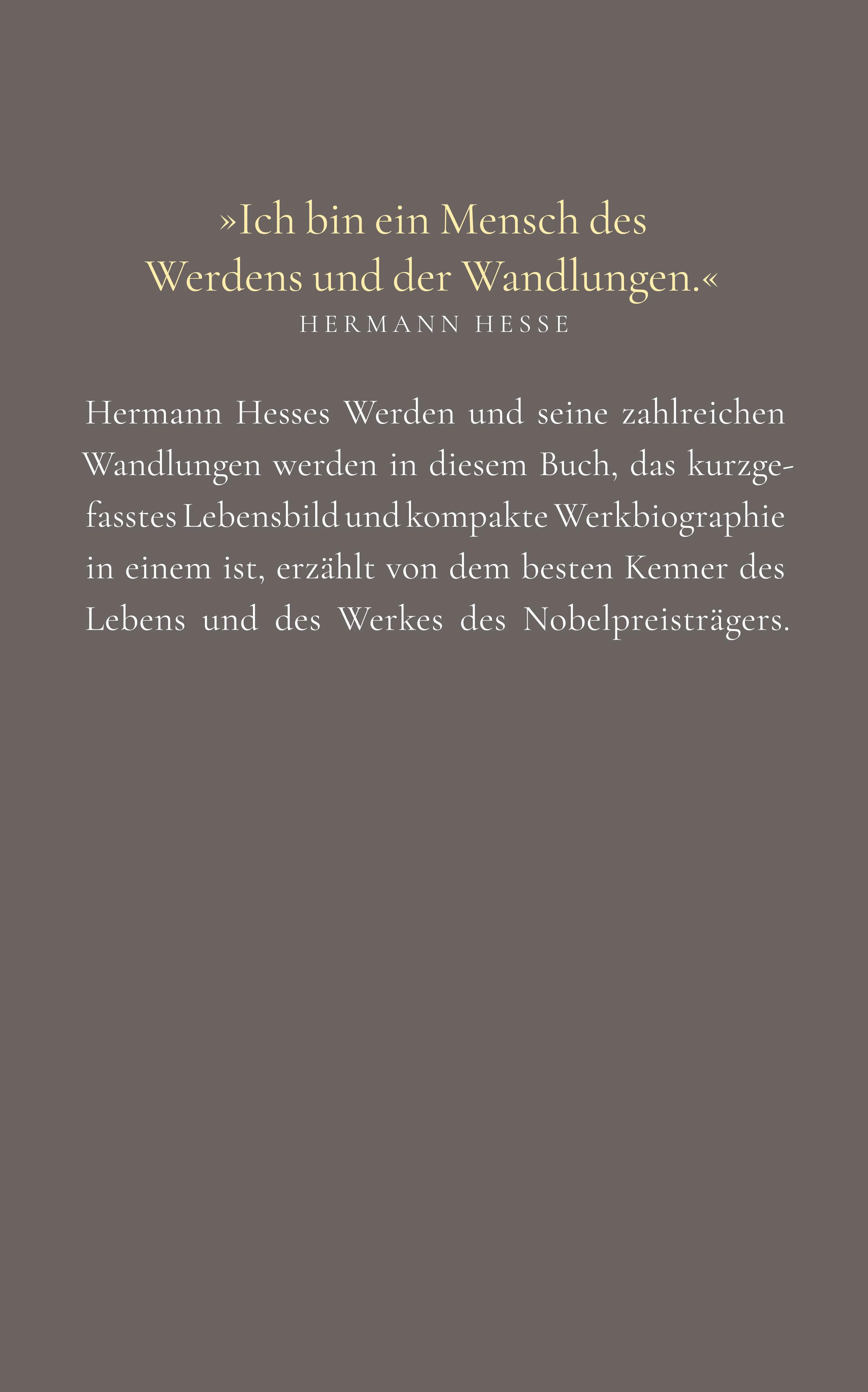 Buchrückseite von '»Auf den Einzelnen kommt es an«' mit Klappentext - Paperback