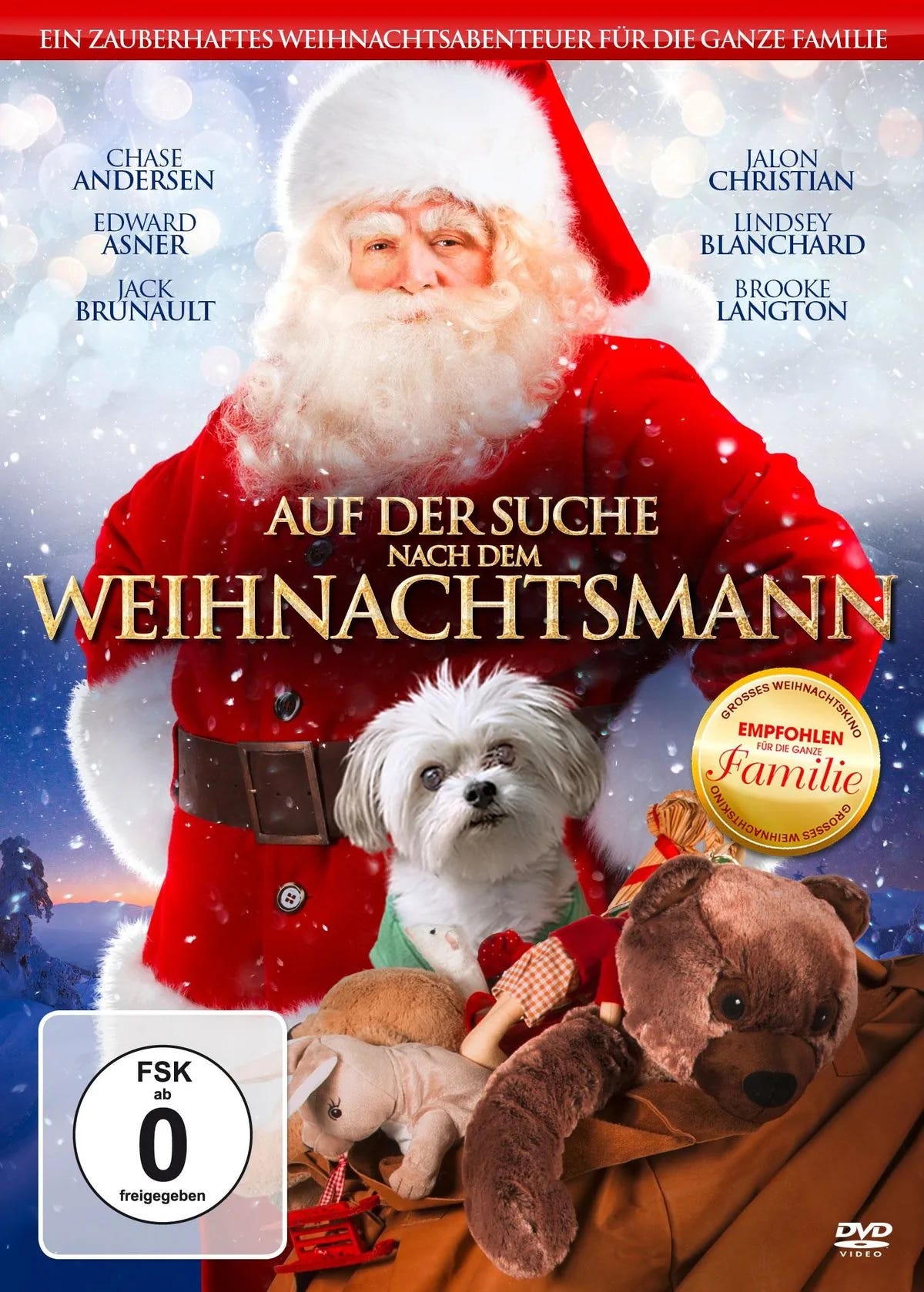 Auf der Suche nach dem Weihnachtsmann - DVD