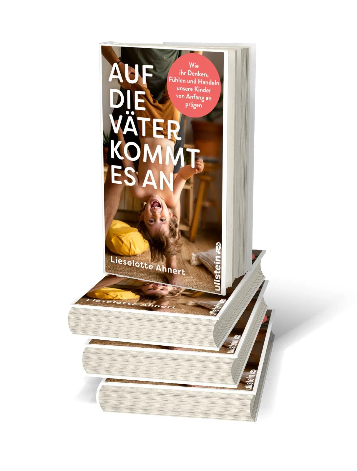 Detailansicht: Auf die Väter kommt es an (Hardcover)