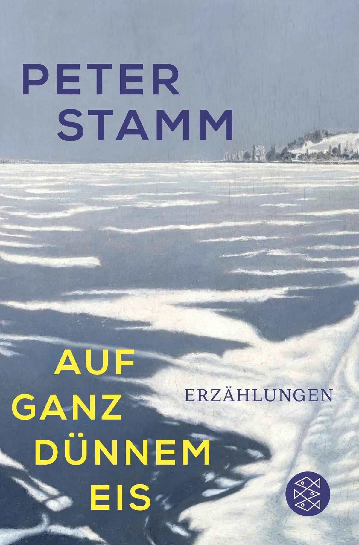 Cover: Auf ganz dünnem Eis (Taschenbuch) von Peter Stamm