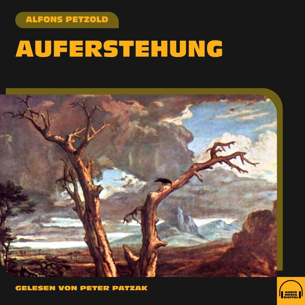 Cover: Auferstehung (Hörbuch Download) von Alfons Petzold