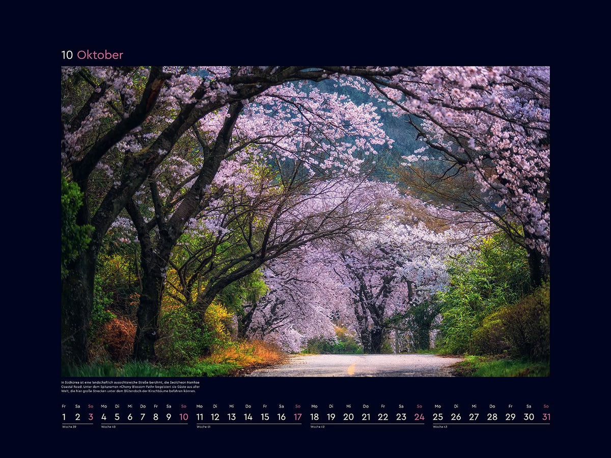 Aufgeblüht - KUNTH Wandkalender 2027 – Ansicht