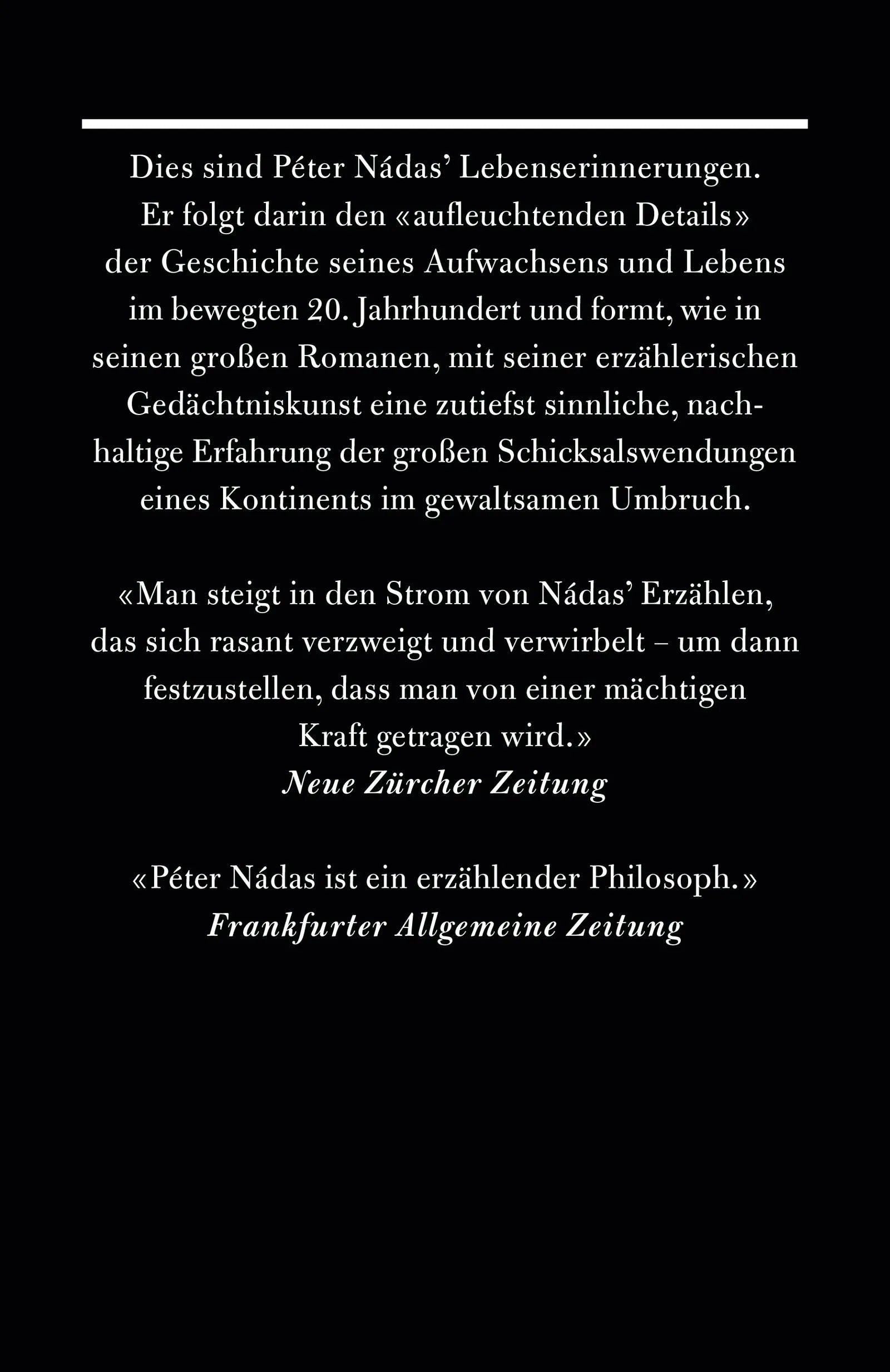 Buchrückseite von 'Aufleuchtende Details' mit Klappentext - Gebundene Ausgabe